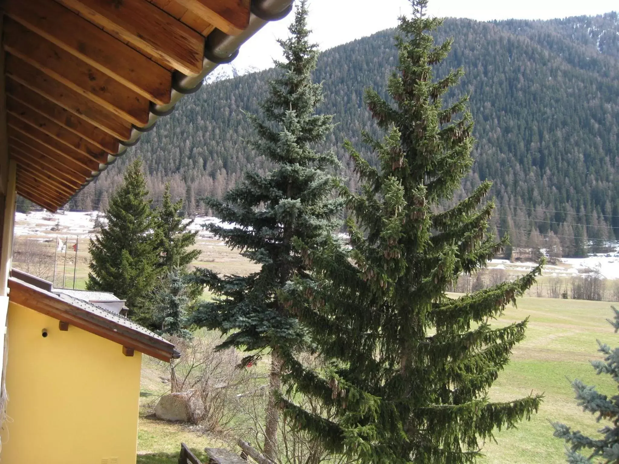View (from property/room), Winter in Hotel Pizzeria Selva