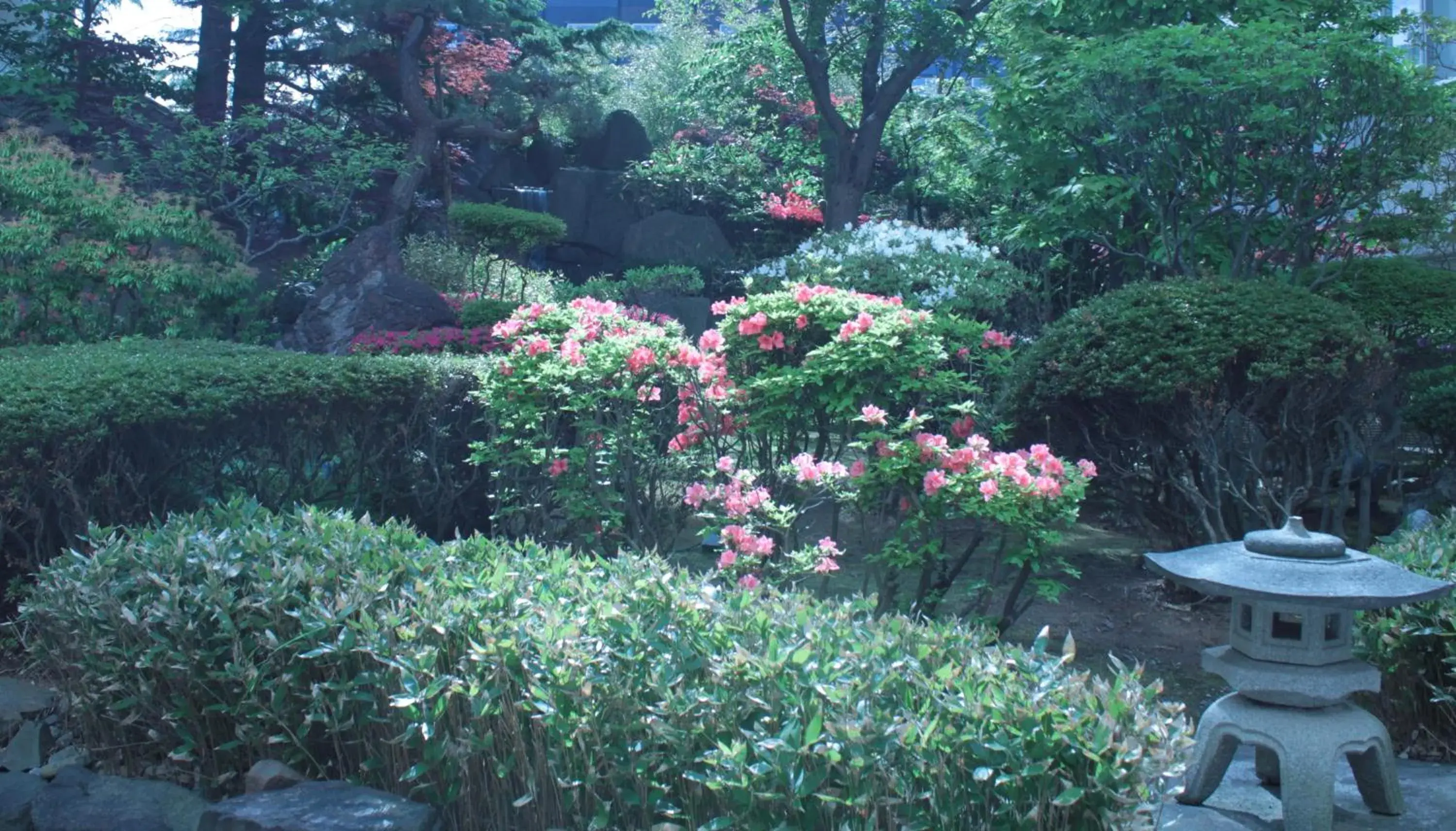 Garden view, Garden in Hanabishi Hotel