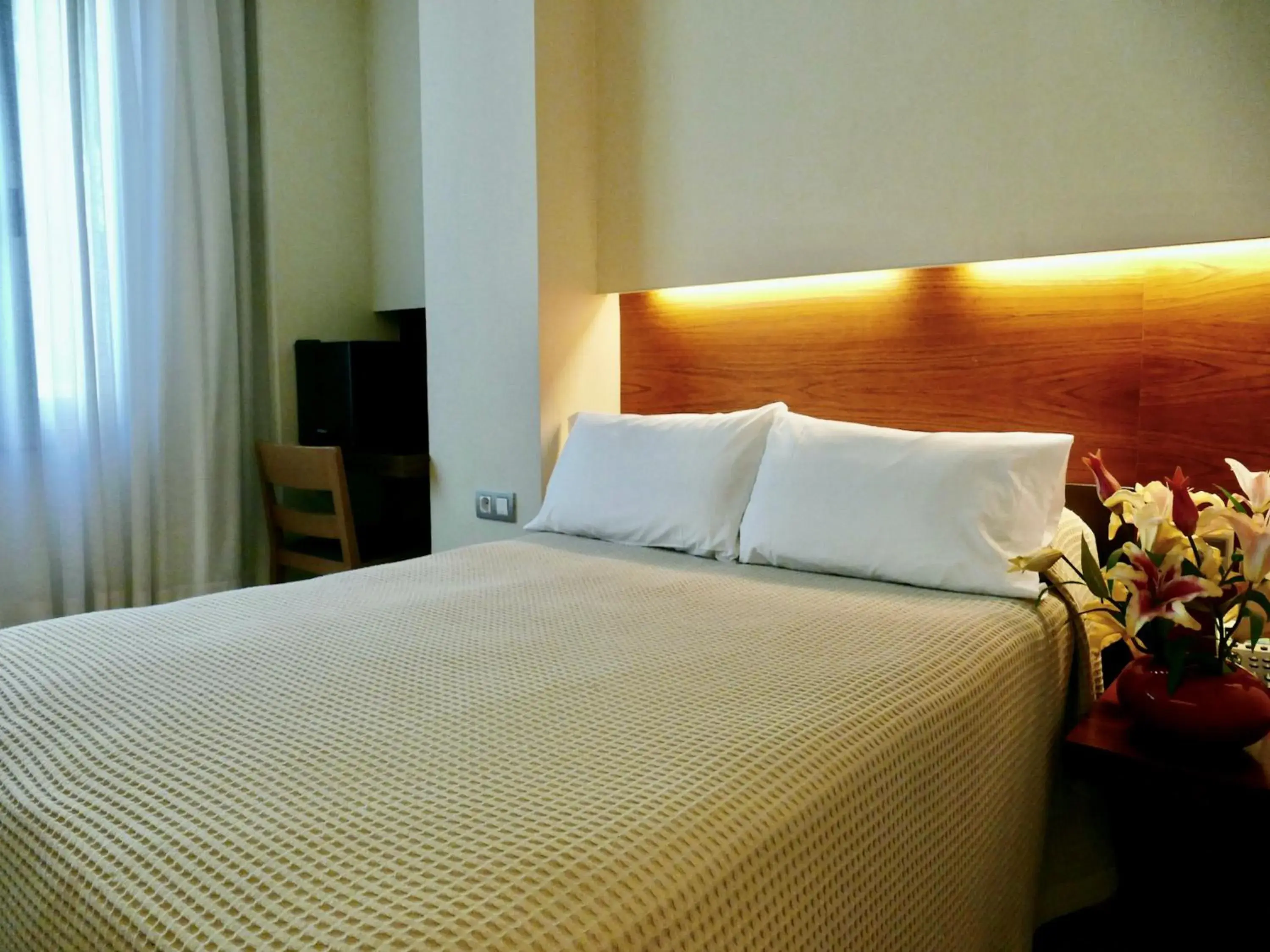 Basic Double Room in Hotel Turin