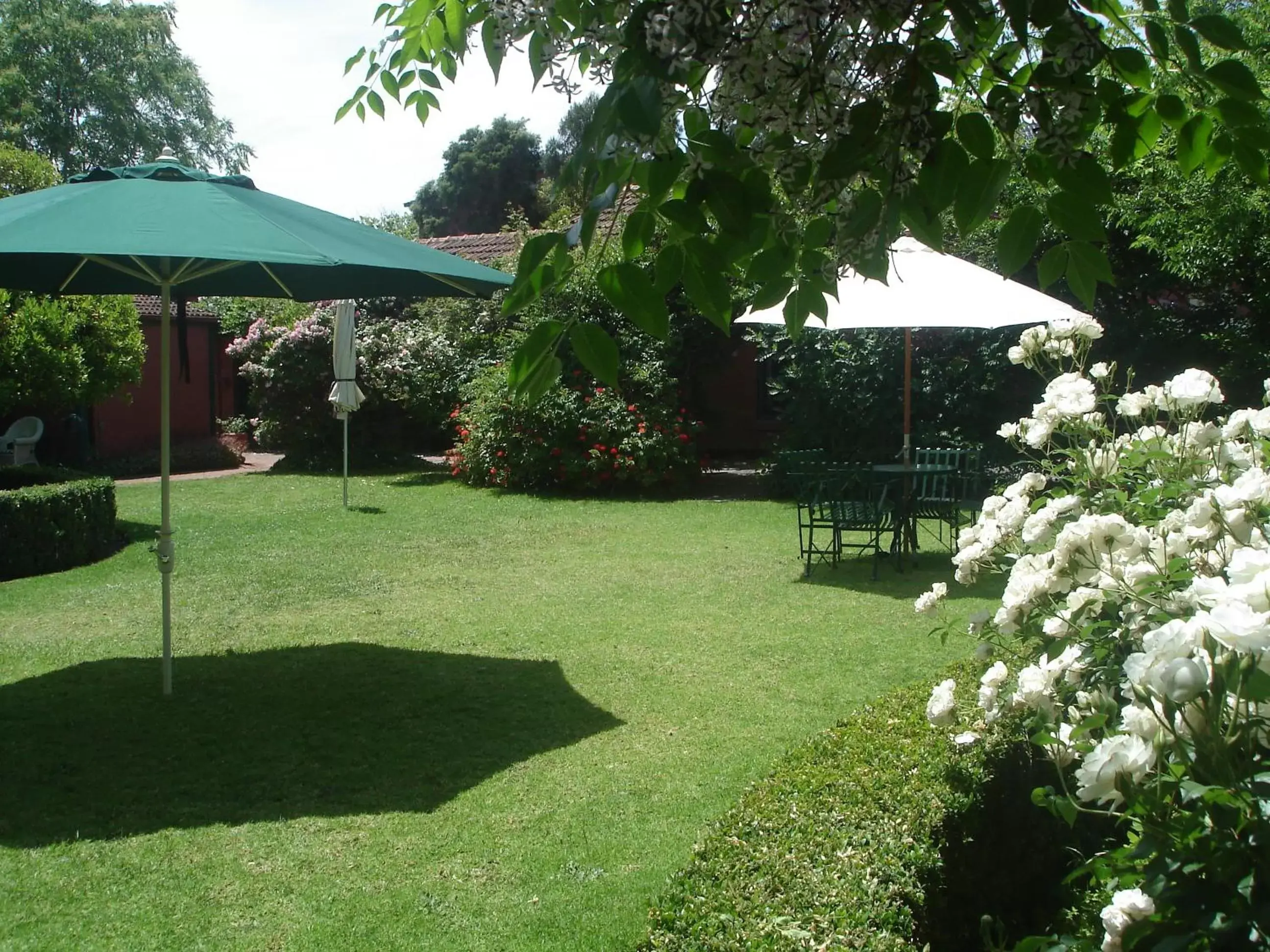 Garden in Buxton Manor