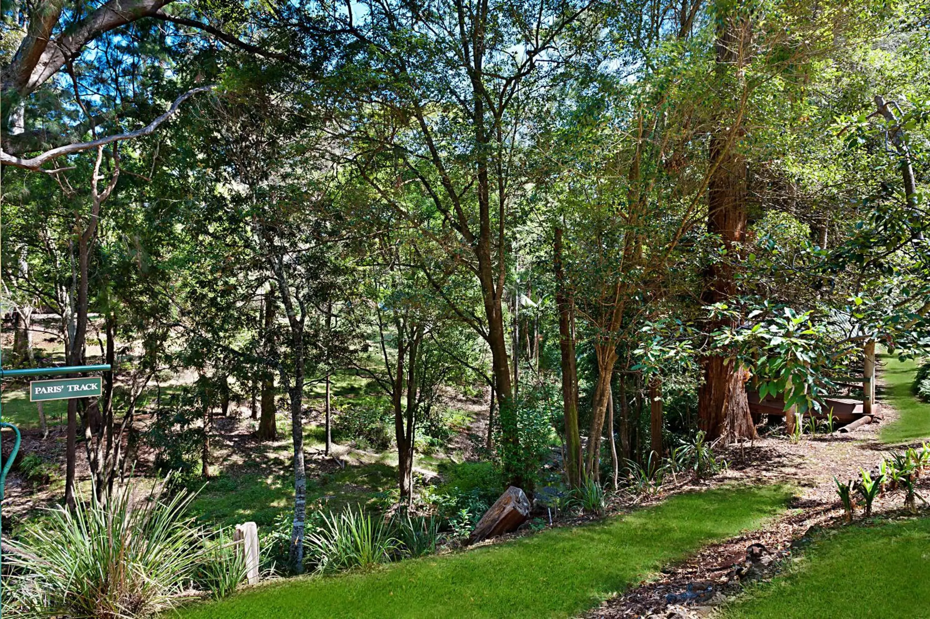 Garden in Escarpment Retreat & Day Spa for Couples