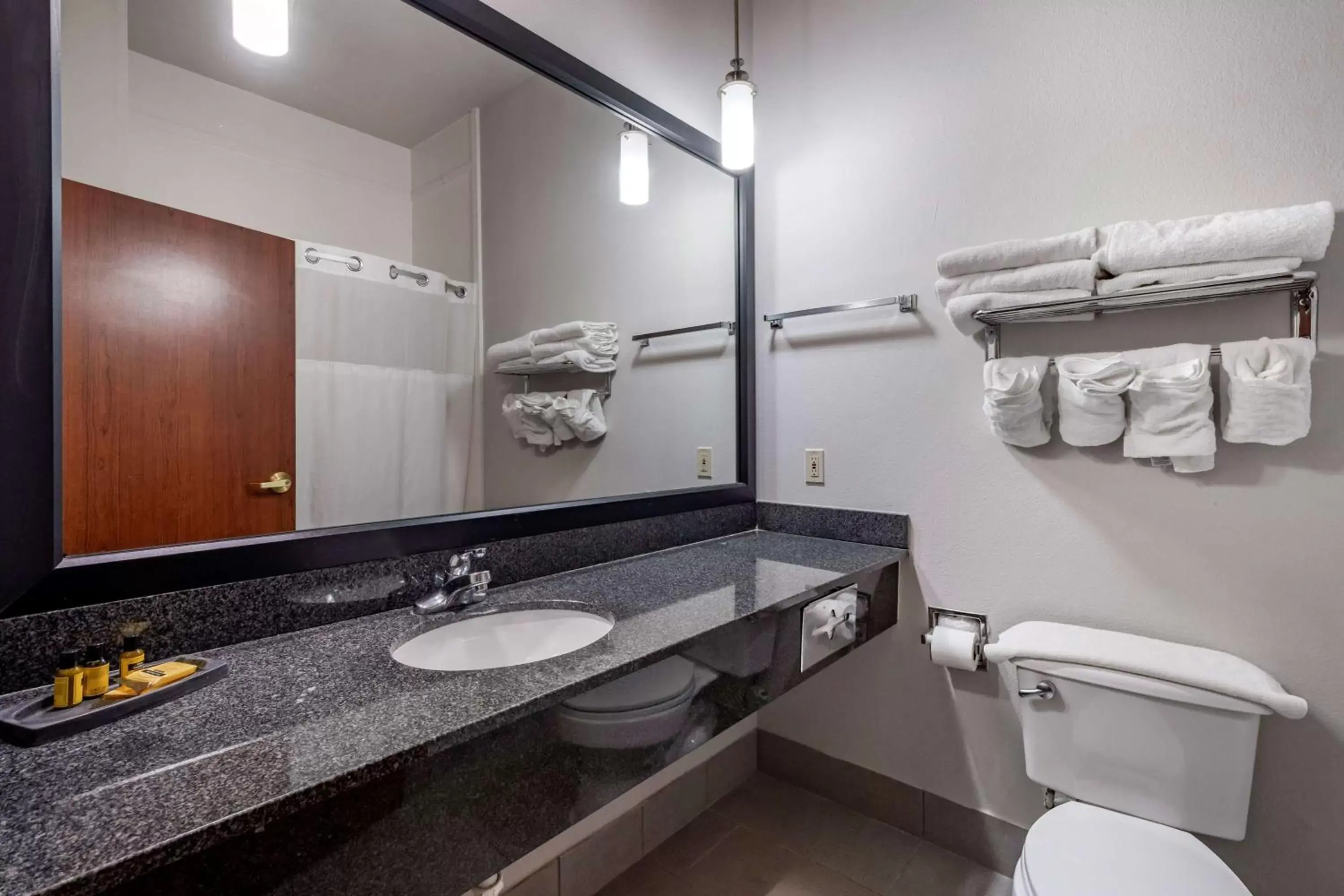 Bathroom in Best Western Plus McKinney Inn and Suites