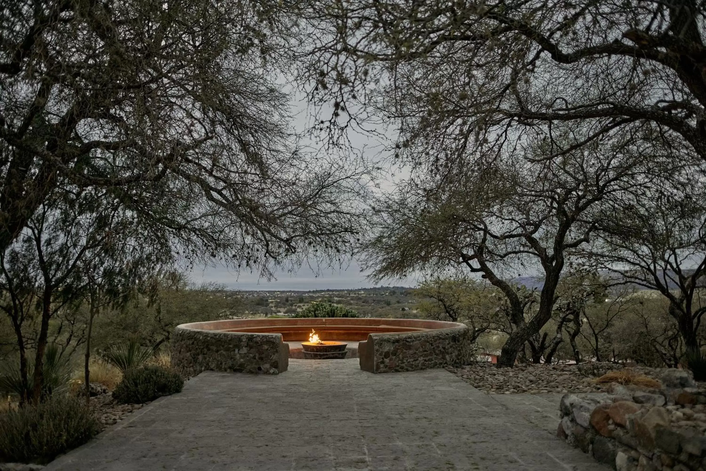 Garden in Our Habitas San Miguel de Allende