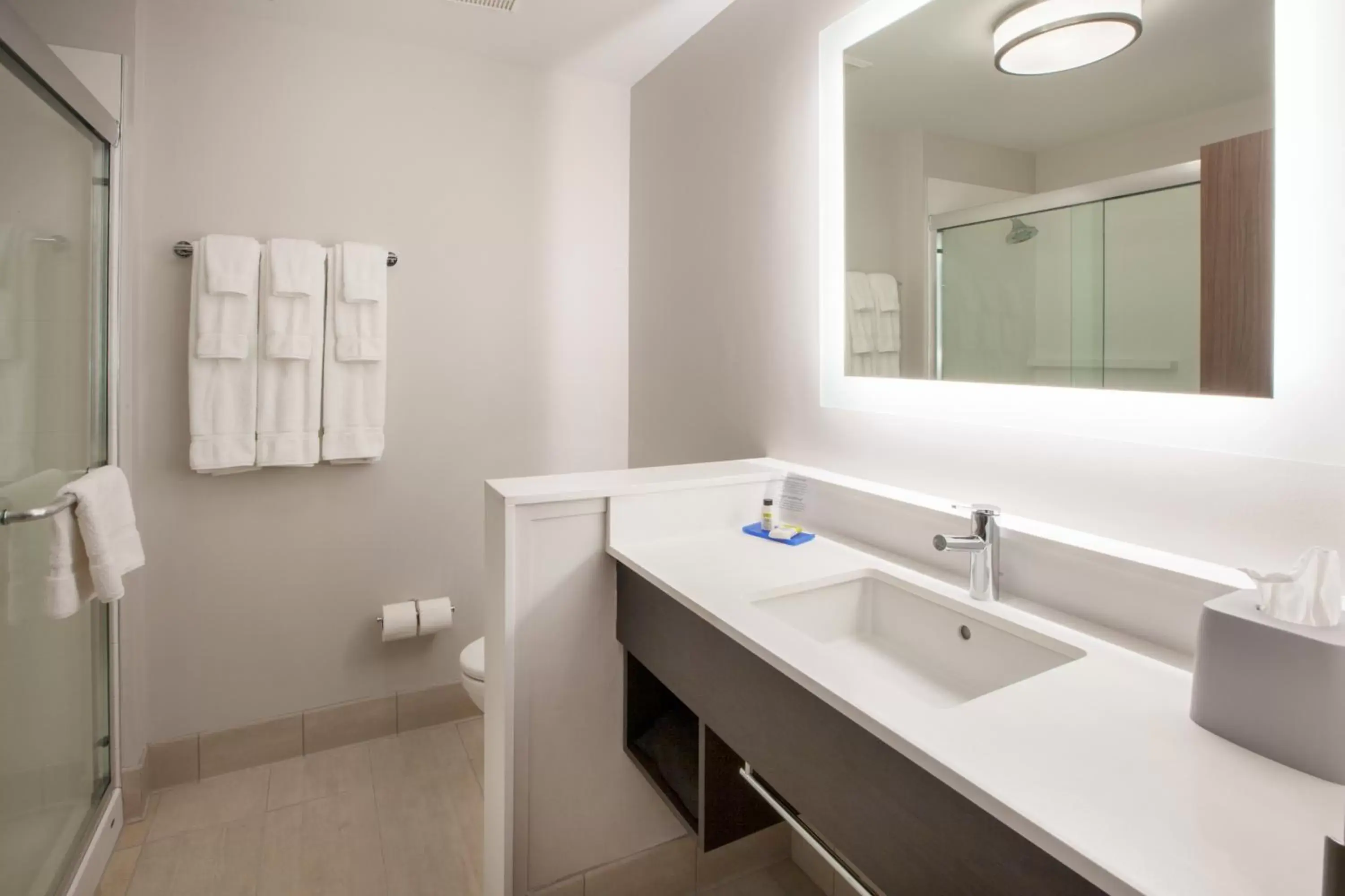 Bathroom in Holiday Inn Express & Suites Troy, an IHG Hotel