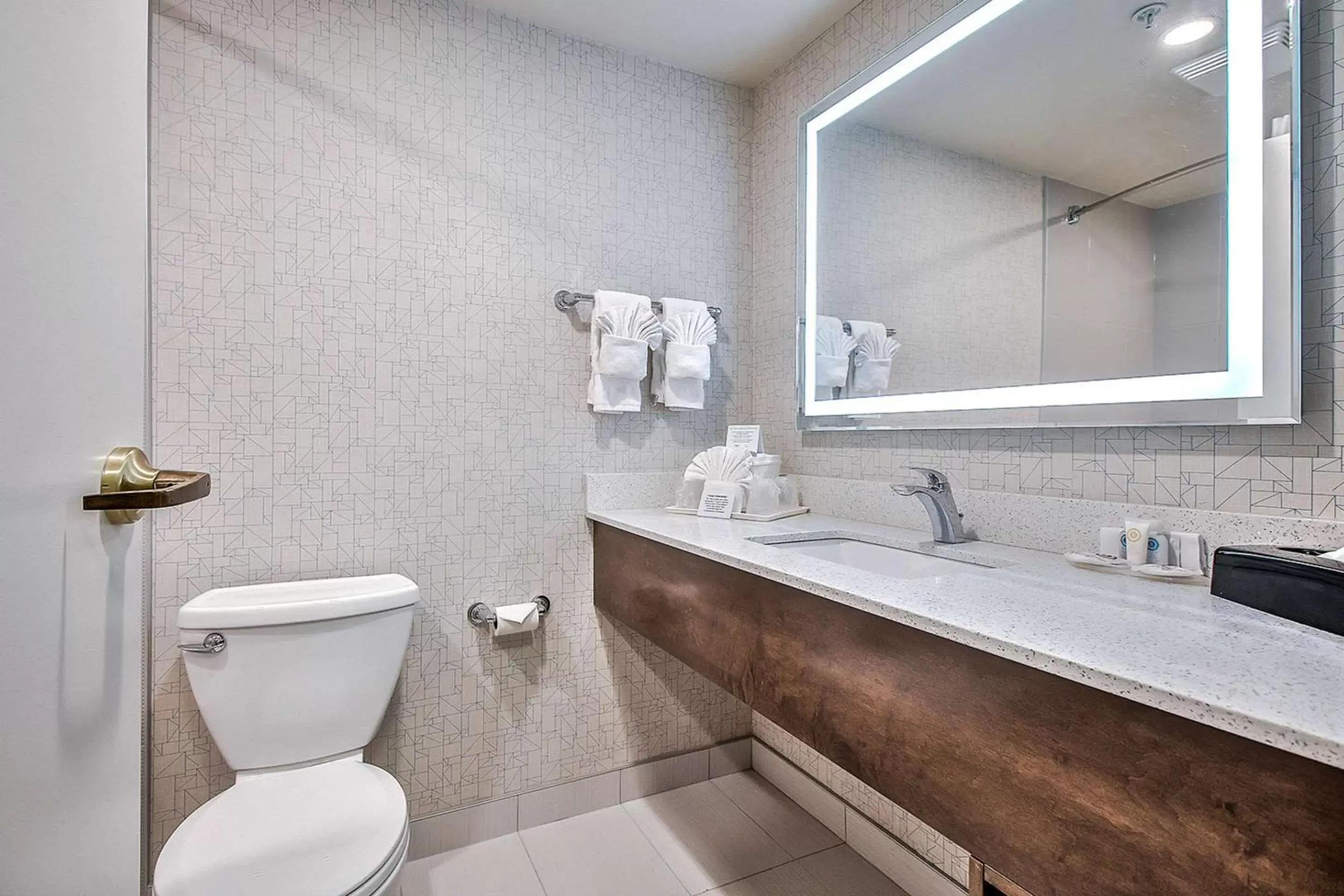 Bathroom in Comfort Inn & Suites South