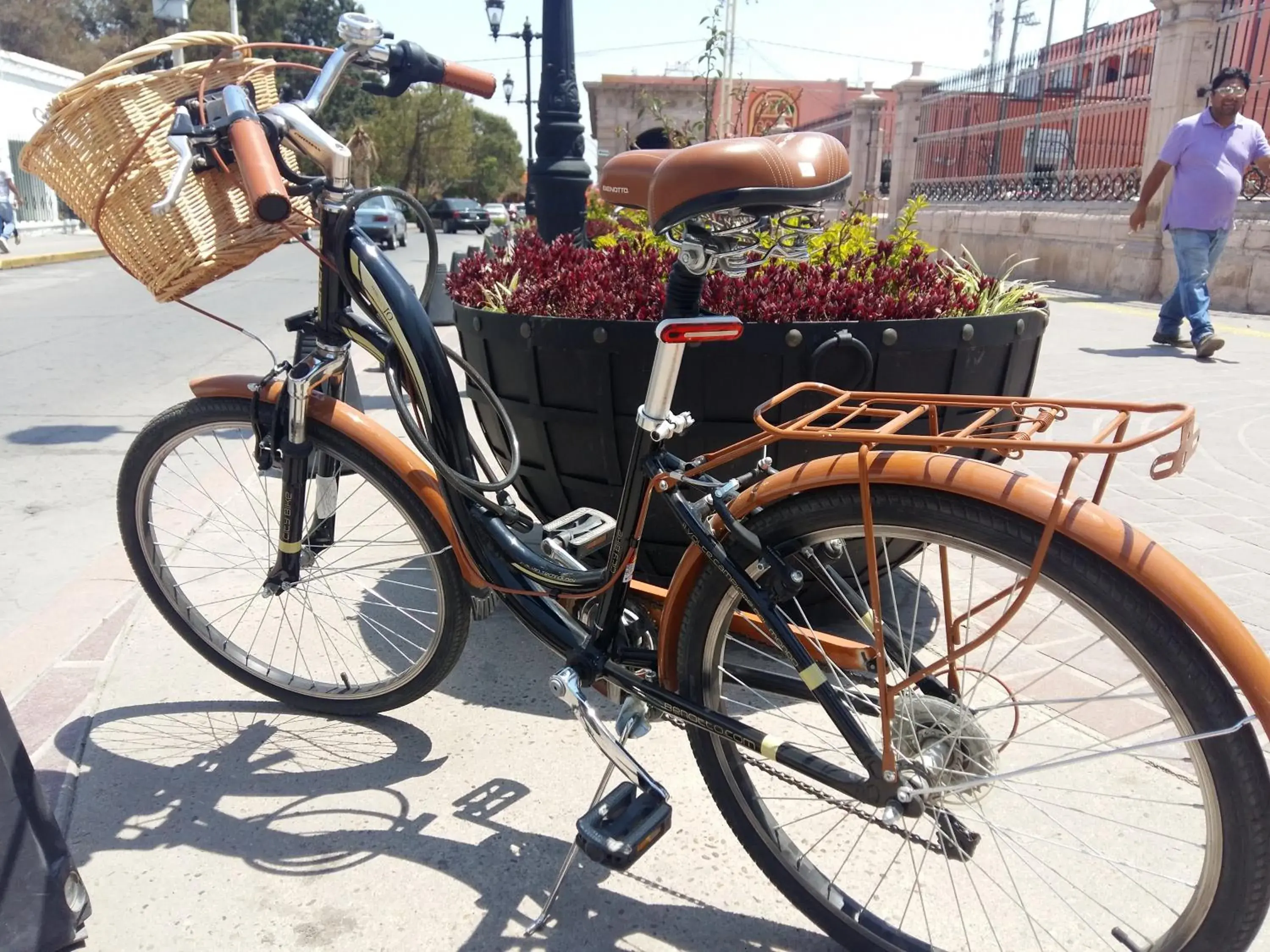 Cycling, Biking in Hotel SanJo