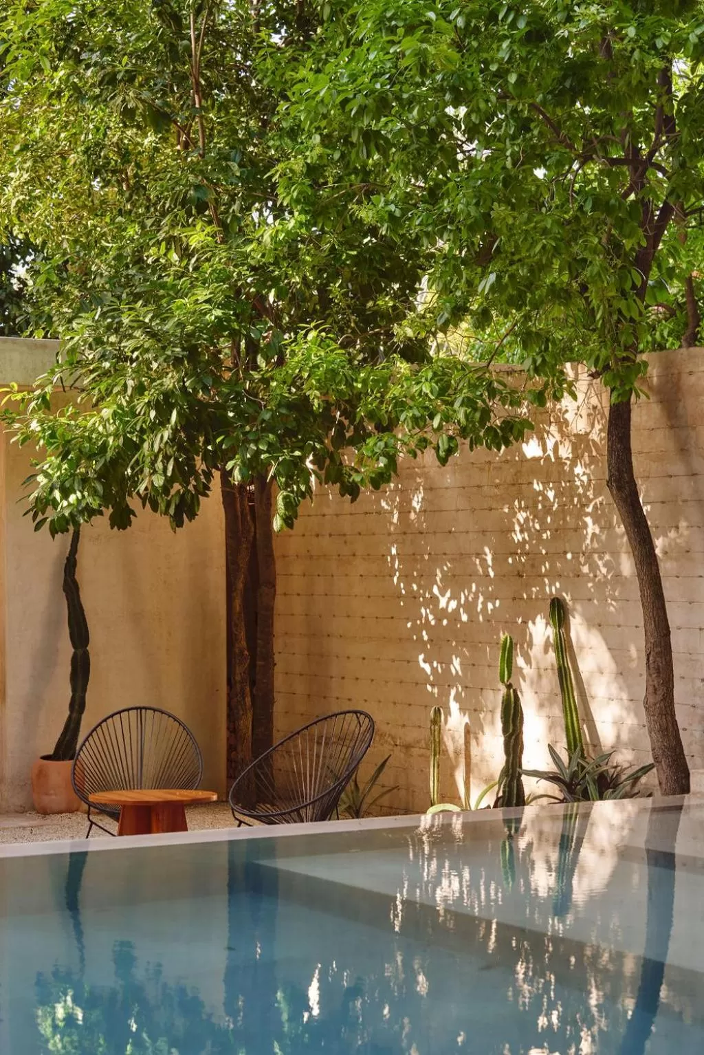 Garden in Casona los Cedros