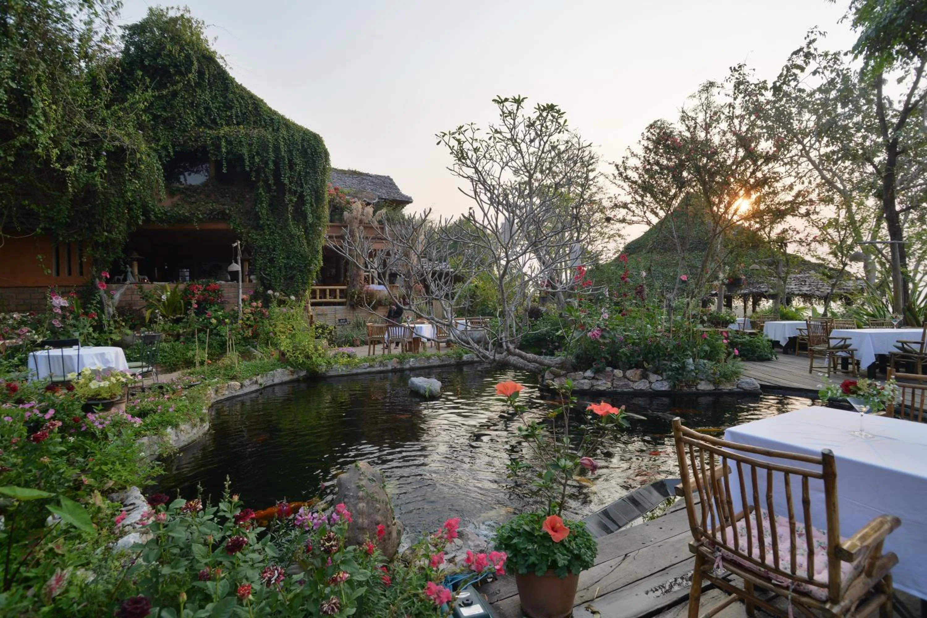 Garden in Phu Chaisai Chiang Rai Mountain Resort