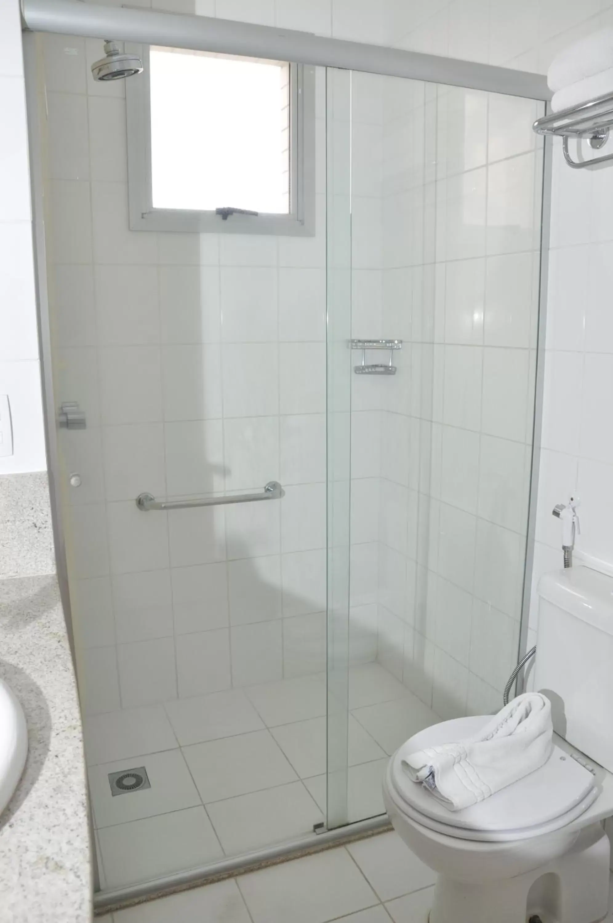 Toilet, Bathroom in Mercure Manaus