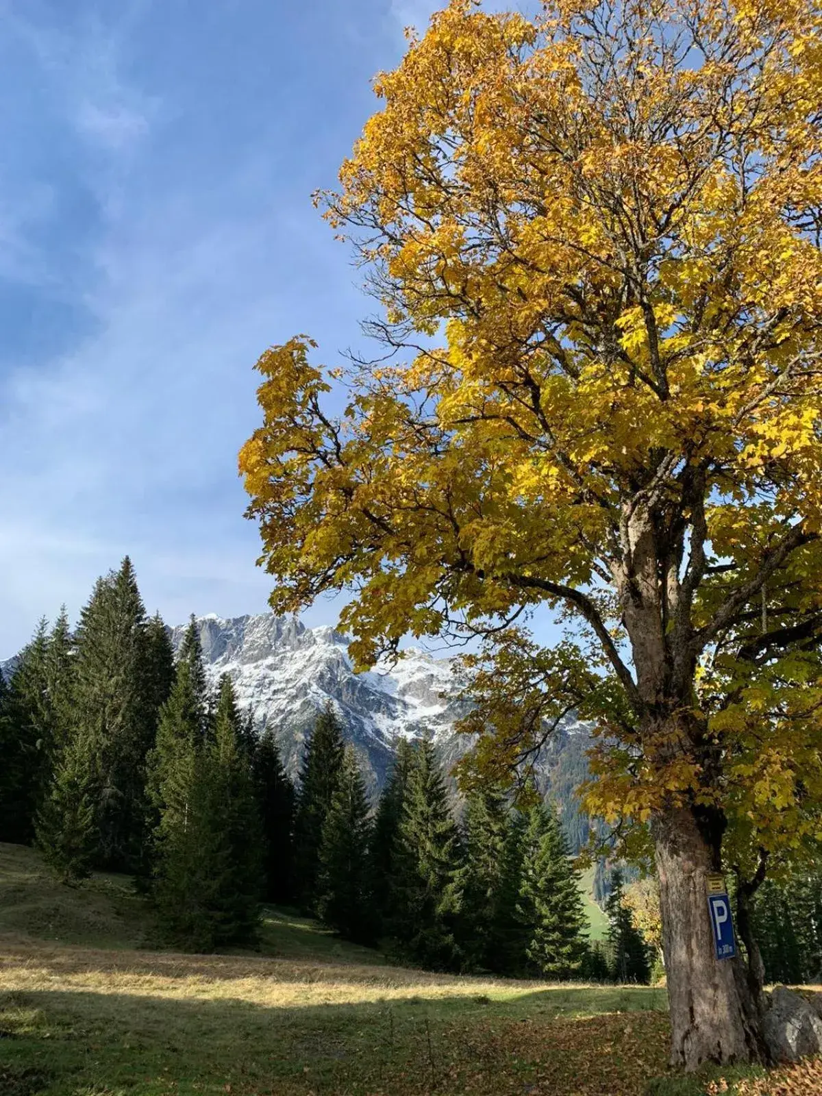 Hiking in Alpenhof