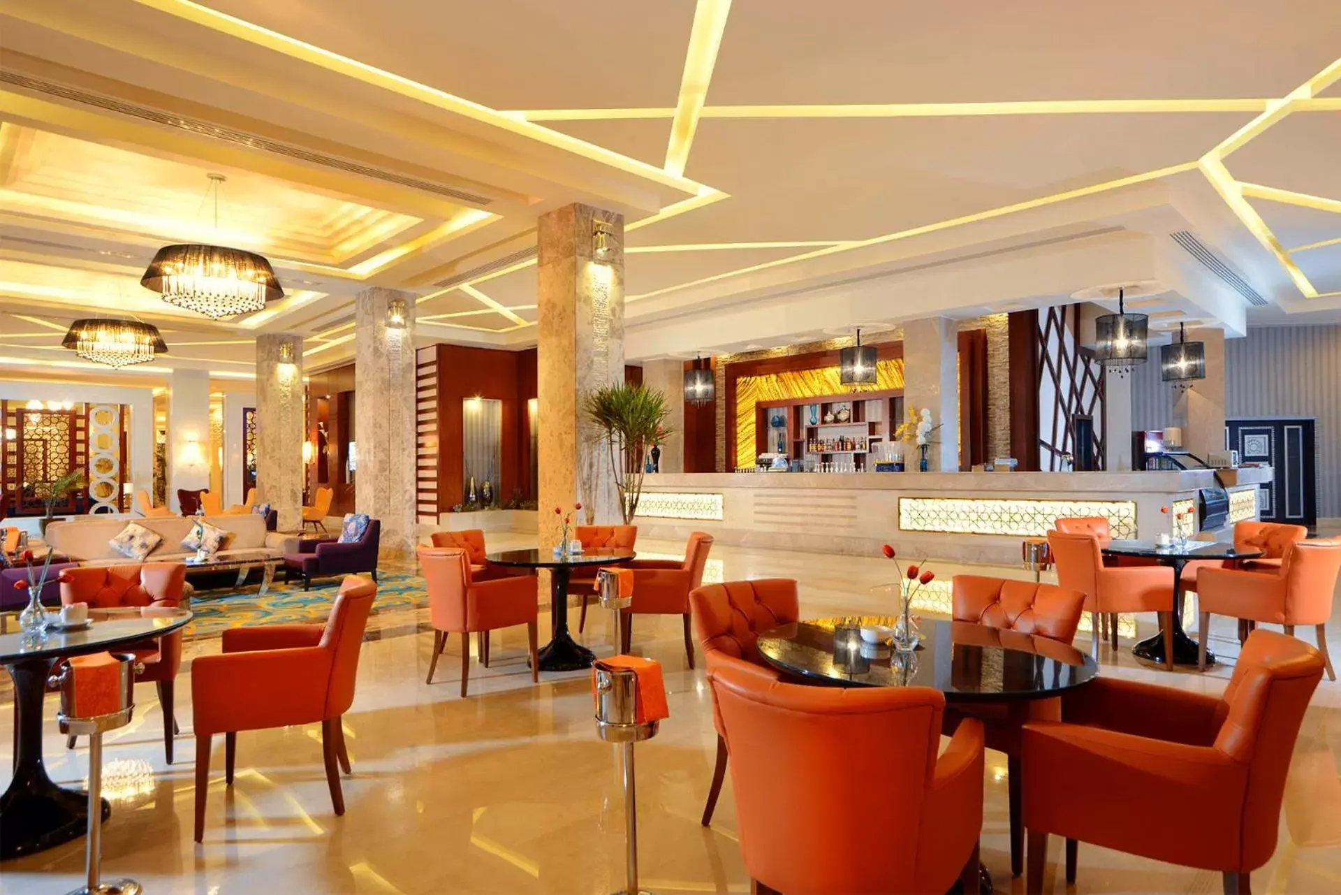 Lounge or bar, Restaurant/Places to Eat in Pickalbatros White Beach Resort - Hurghada