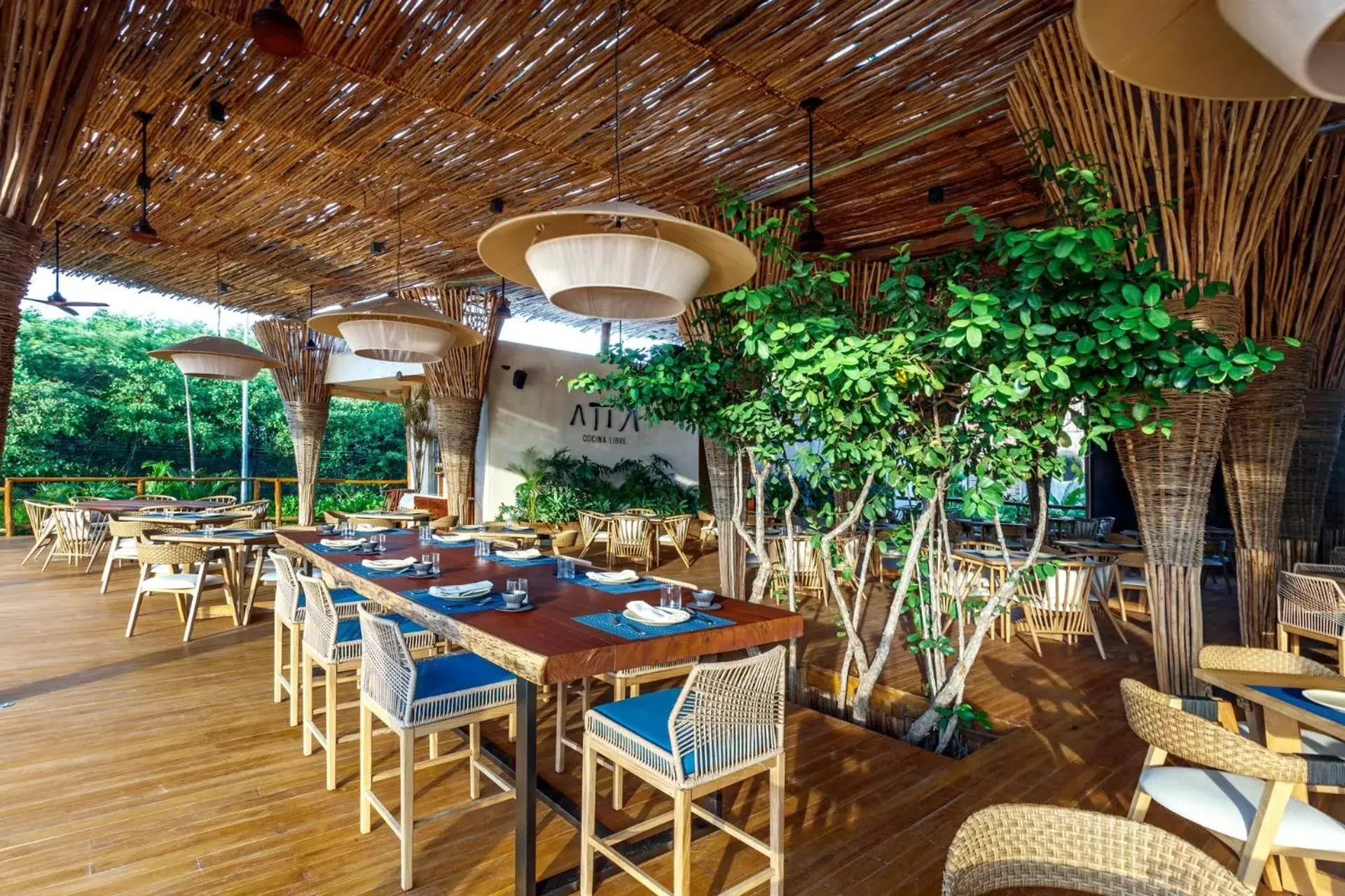 Restaurant/Places to Eat in Hotel Shibari - Restaurant & Cenote Club