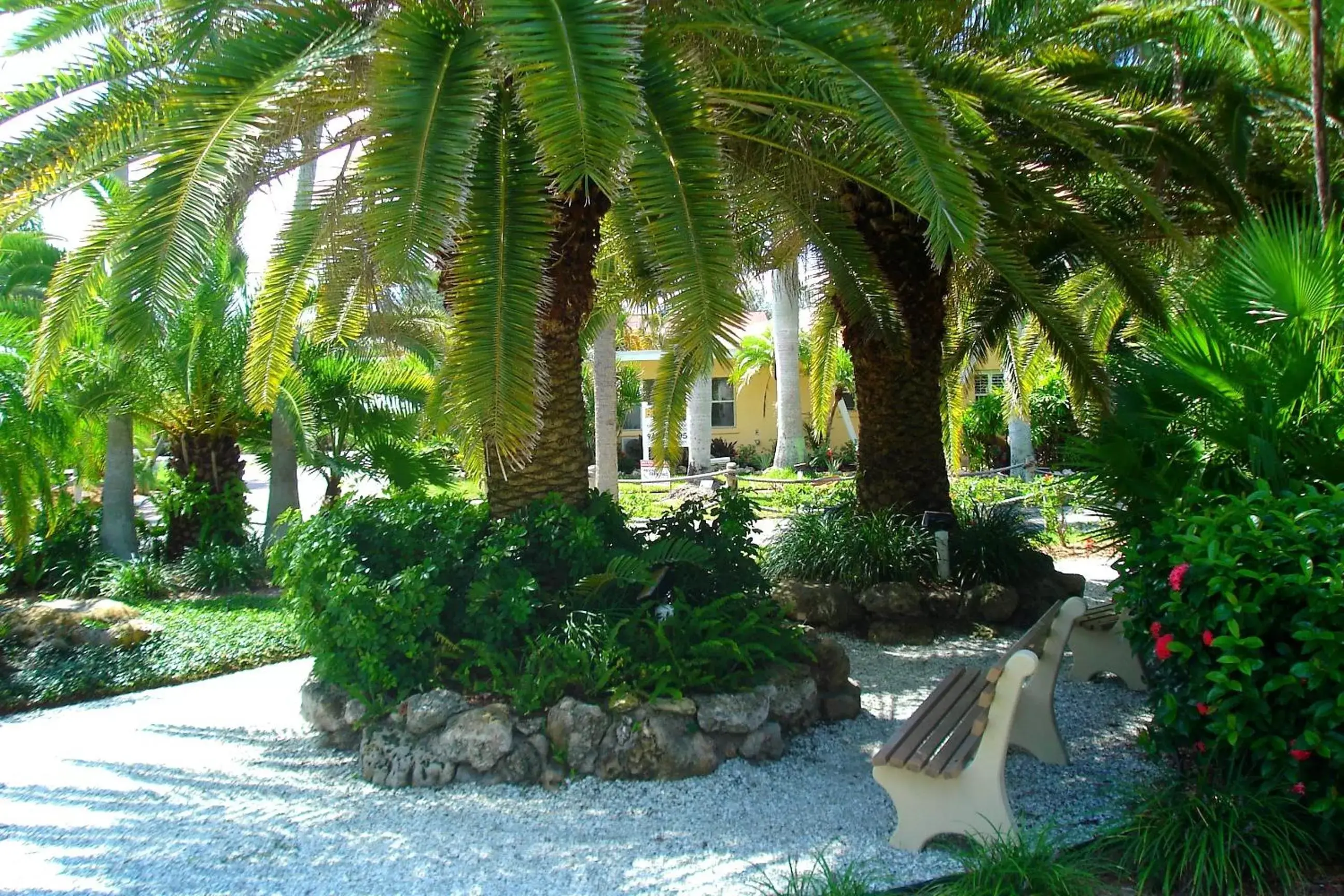 Garden in Tropical Beach Resorts - Sarasota