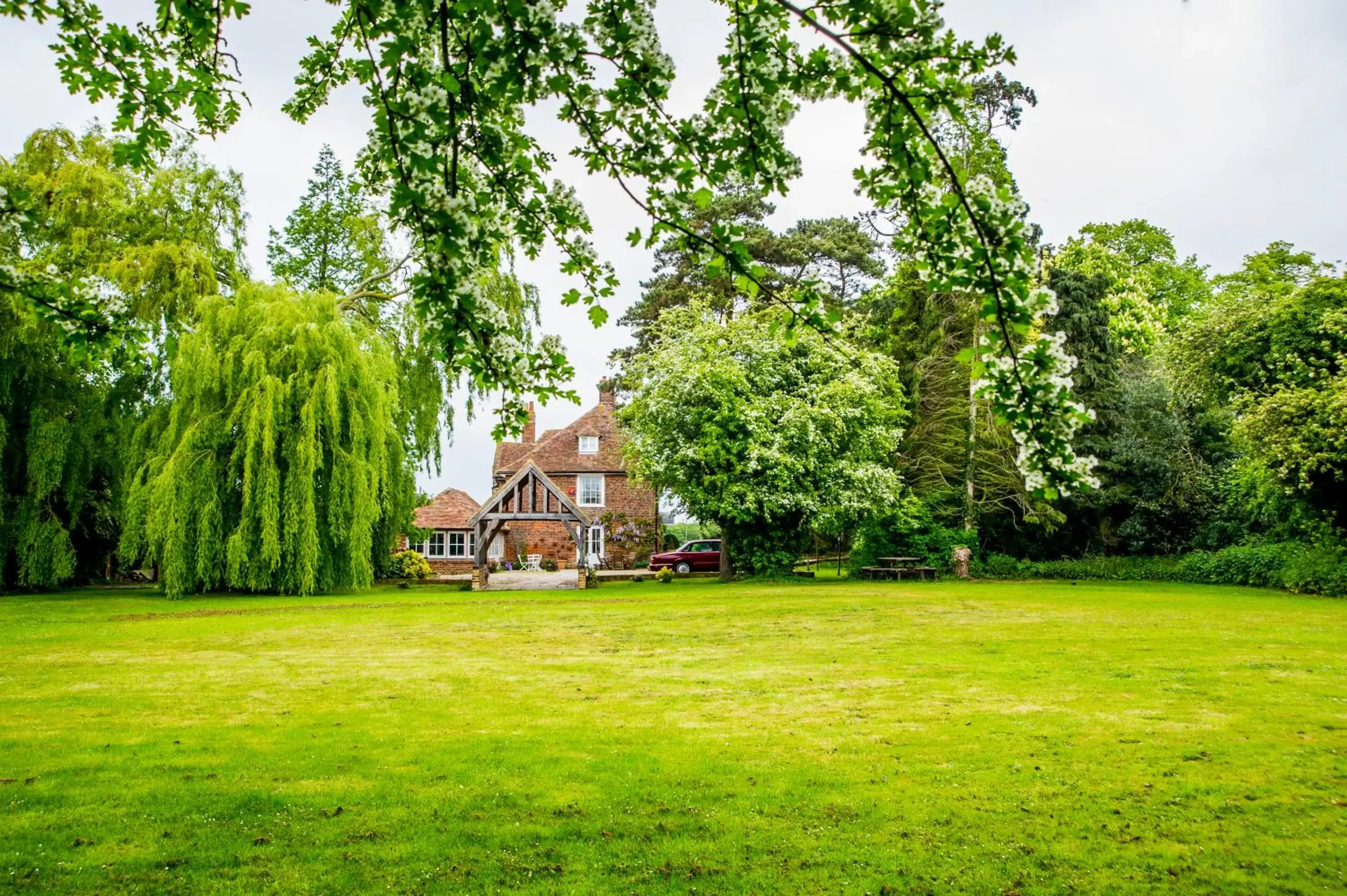 Molland Manor House Bed & Breakfast