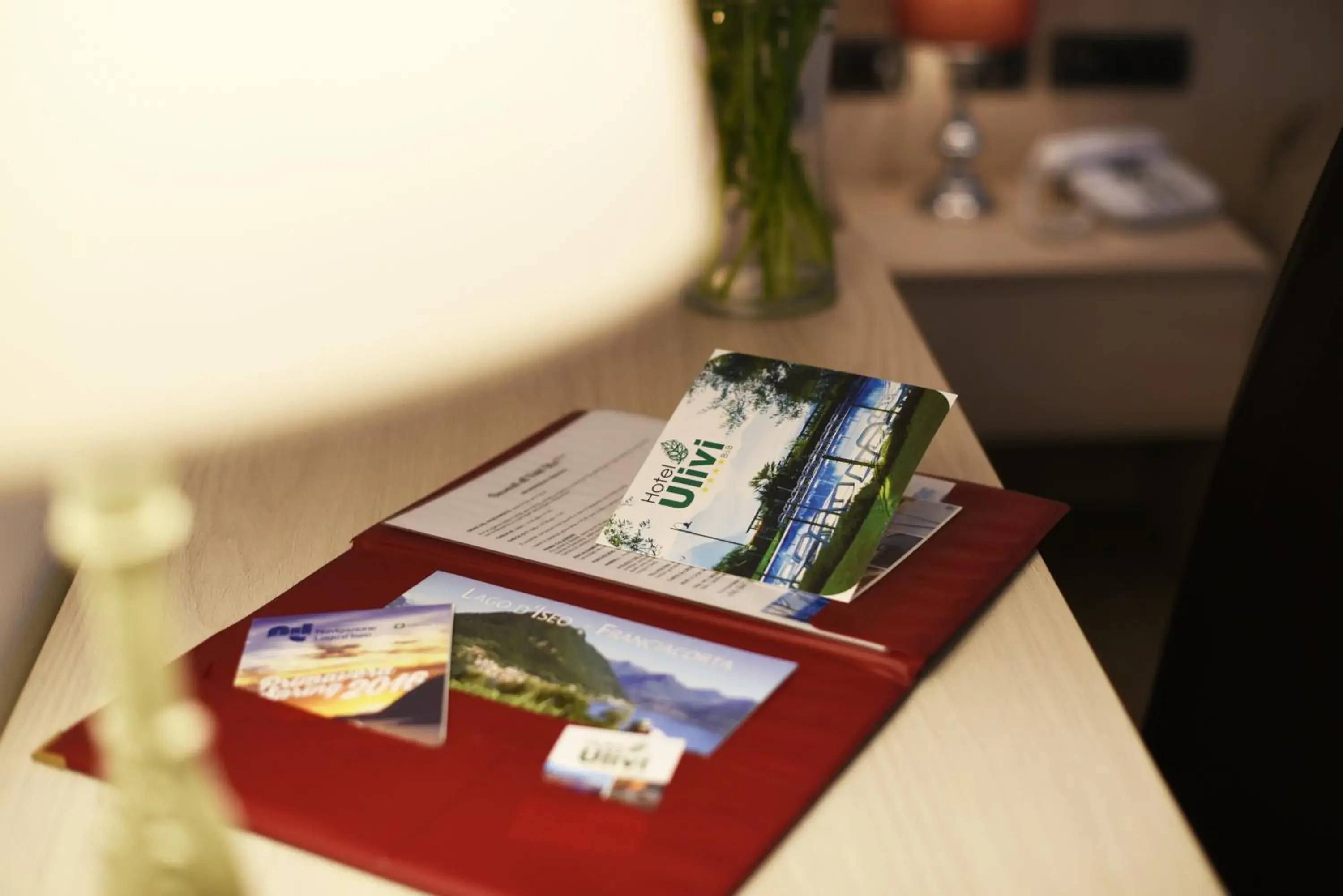 Decorative detail, Business Area/Conference Room in Hotel Ulivi