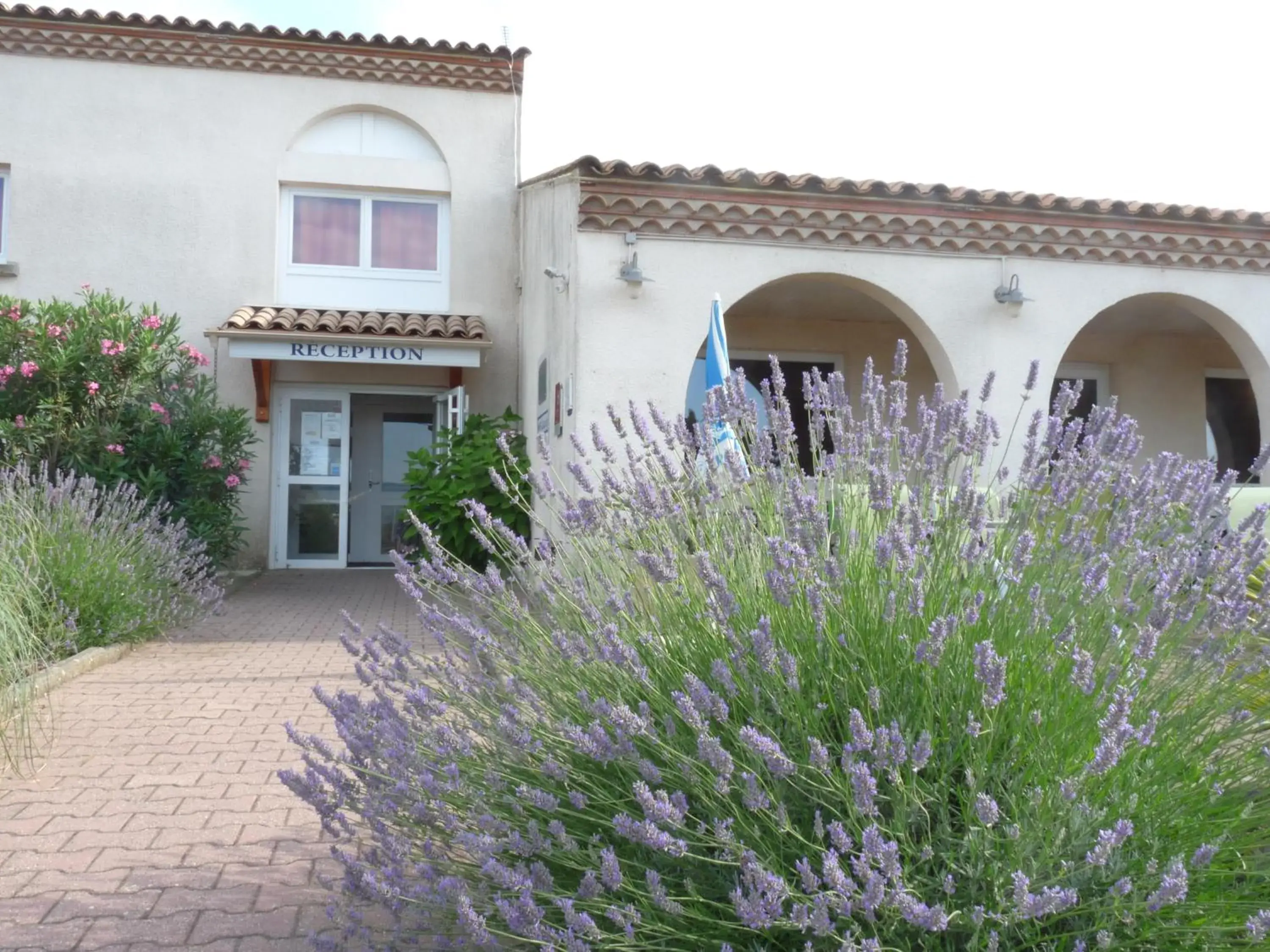 Facade/entrance, Patio/Outdoor Area in Brit Hotel Bosquet Carcassonne Cit