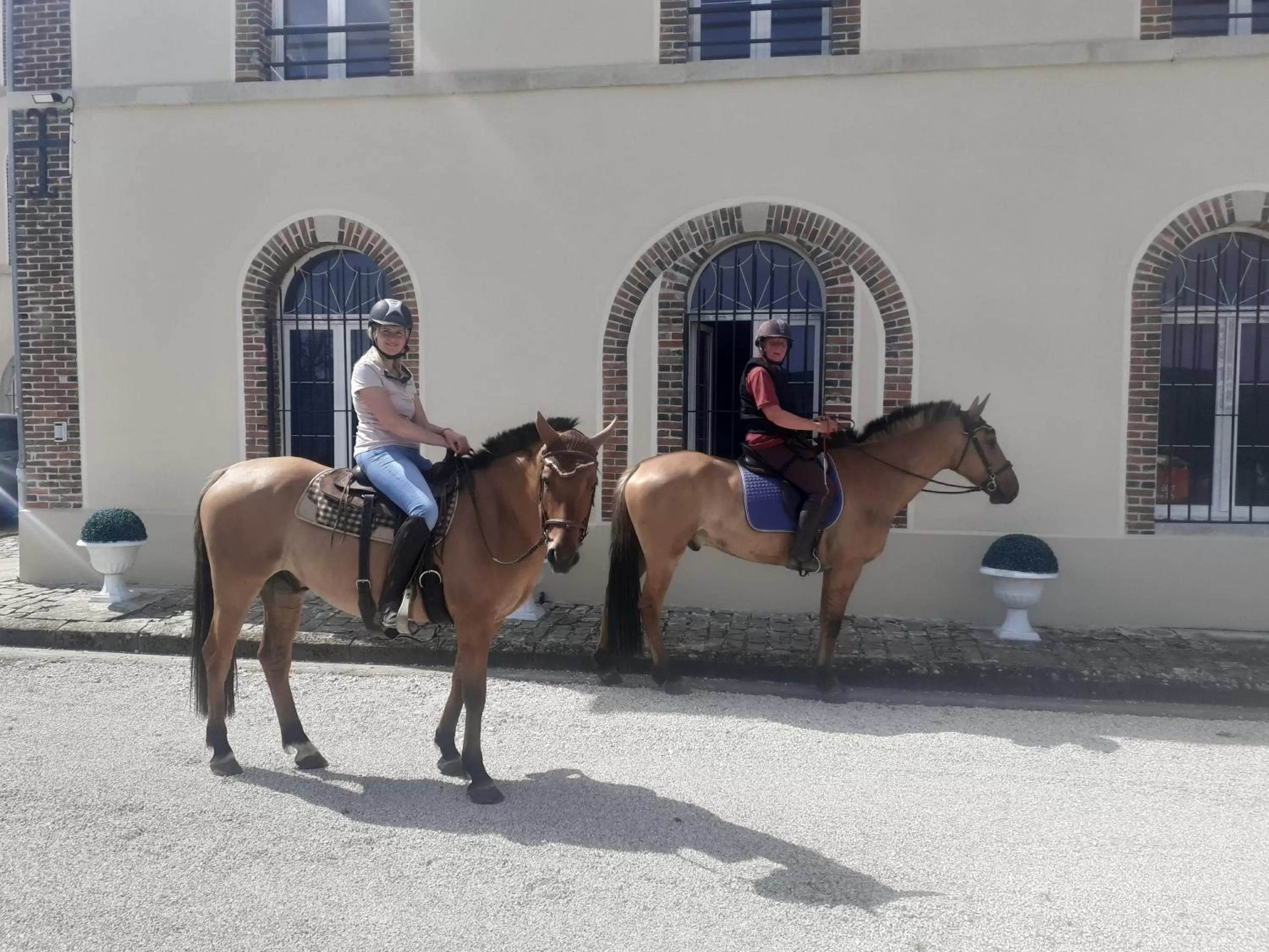 Other Animals in CHAMBRES D'HOTES DANS DOMAINE DE CHARME A EPERNAY