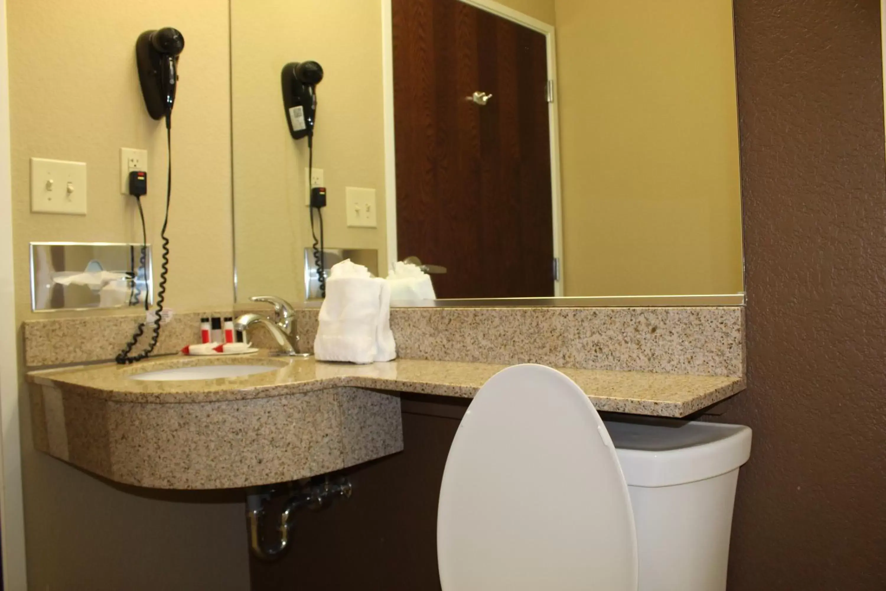 Bathroom in Microtel Inn & Suites by Wyndham Harrisonburg