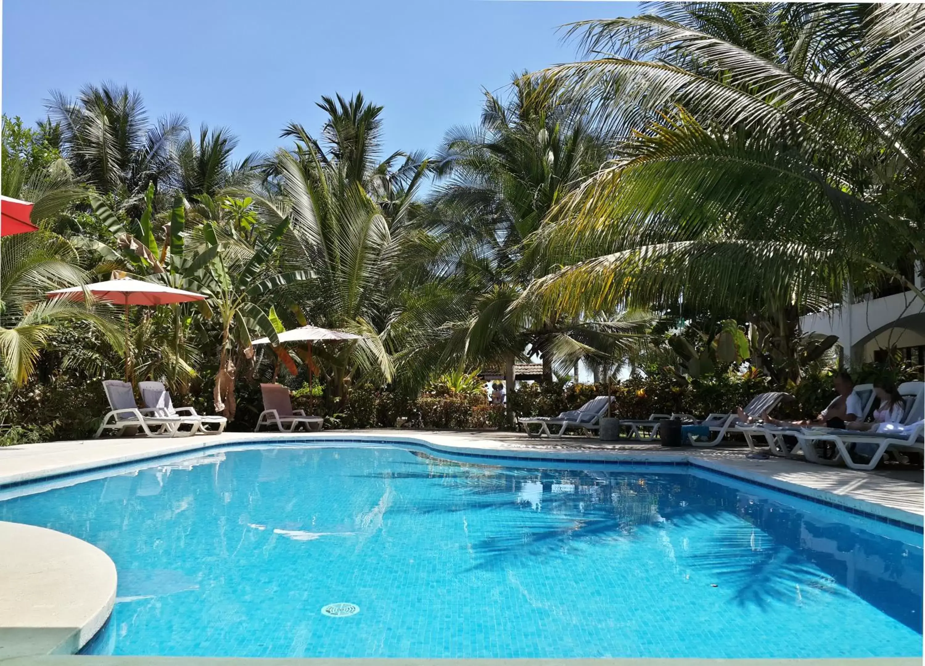 Day, Swimming Pool in Hotel Pochote Grande
