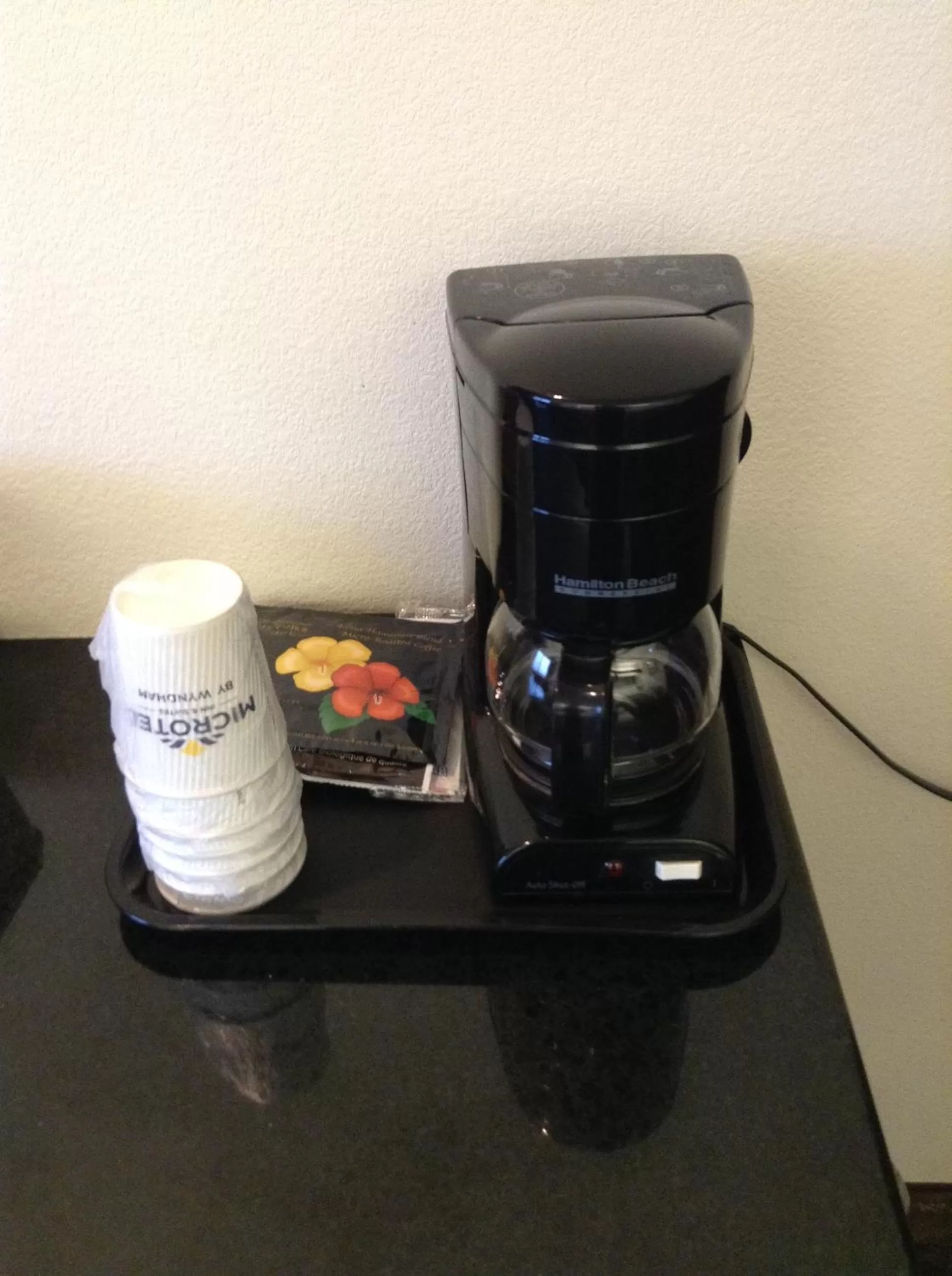 Queen Suite - Non-Smoking in Microtel Inn & Suites by Wyndham Indianapolis Airport