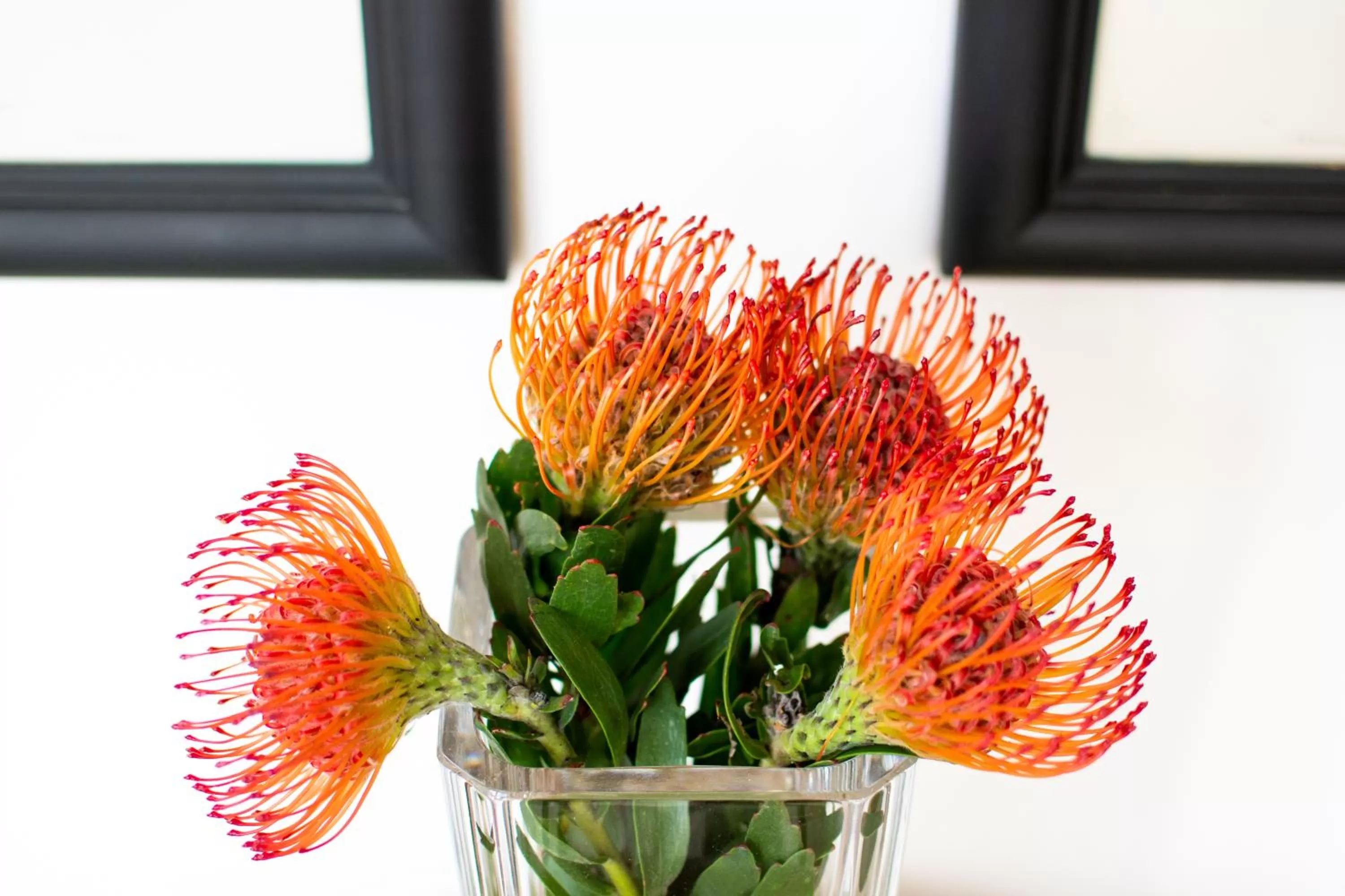 Restaurant/places to eat in Vida Nova Retreat