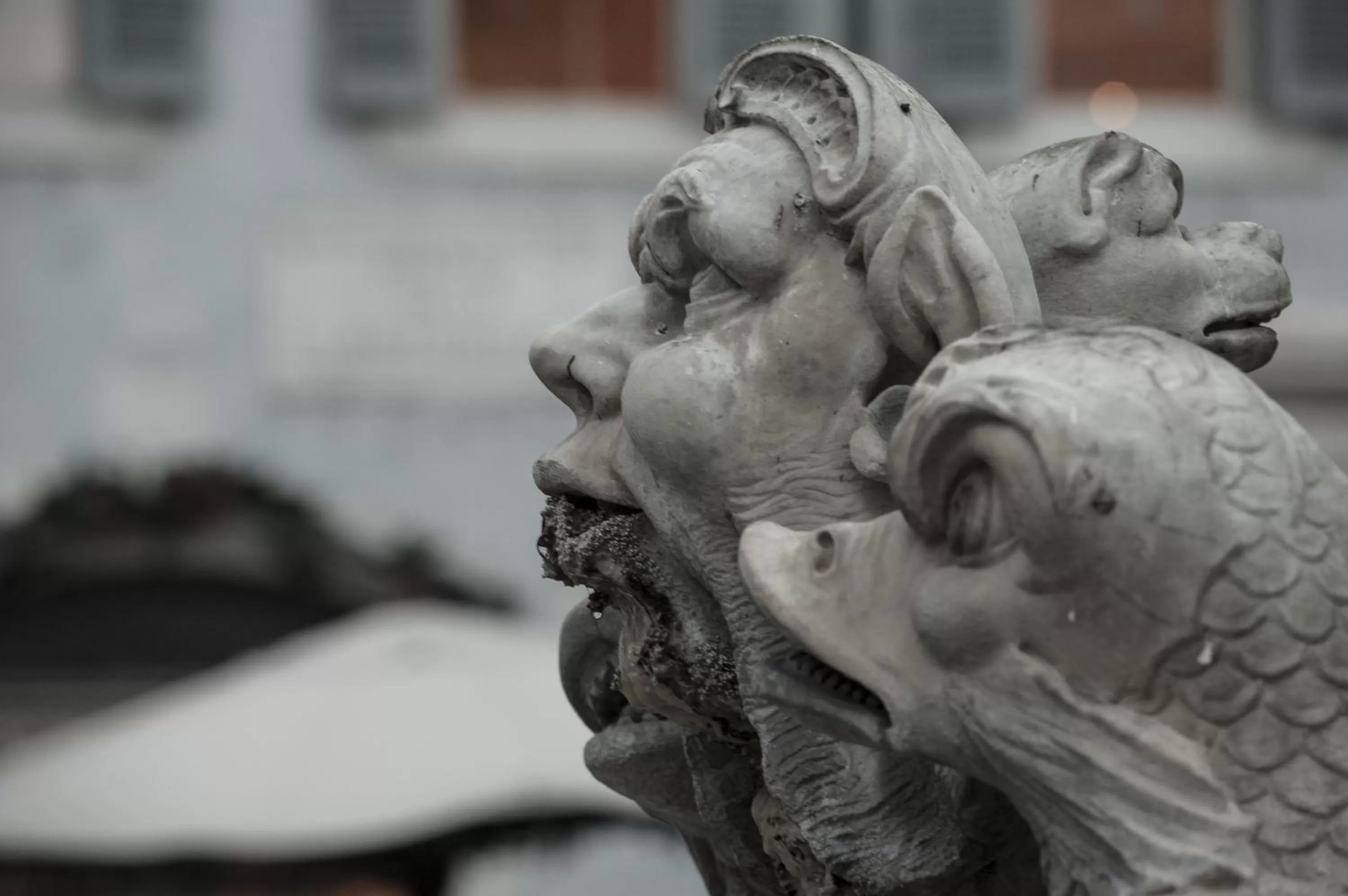 Area and facilities in La Residenza del Sole al Pantheon