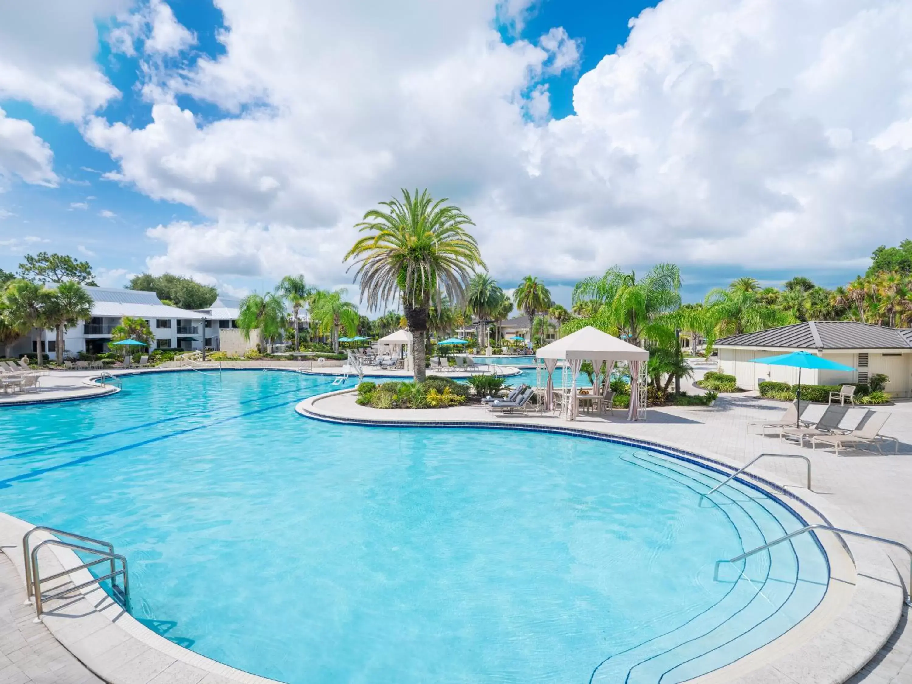 Pool view, Swimming Pool in Saddlebrook Golf Resort & Spa Tampa North-Wesley Chapel