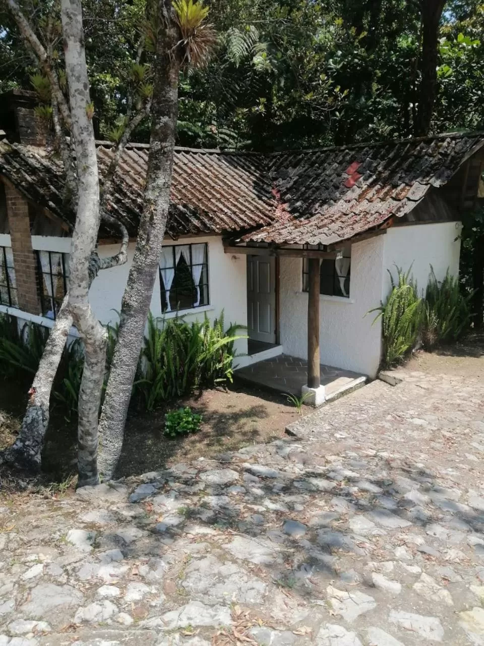 Property Building in Posada Montaña del Quetzal