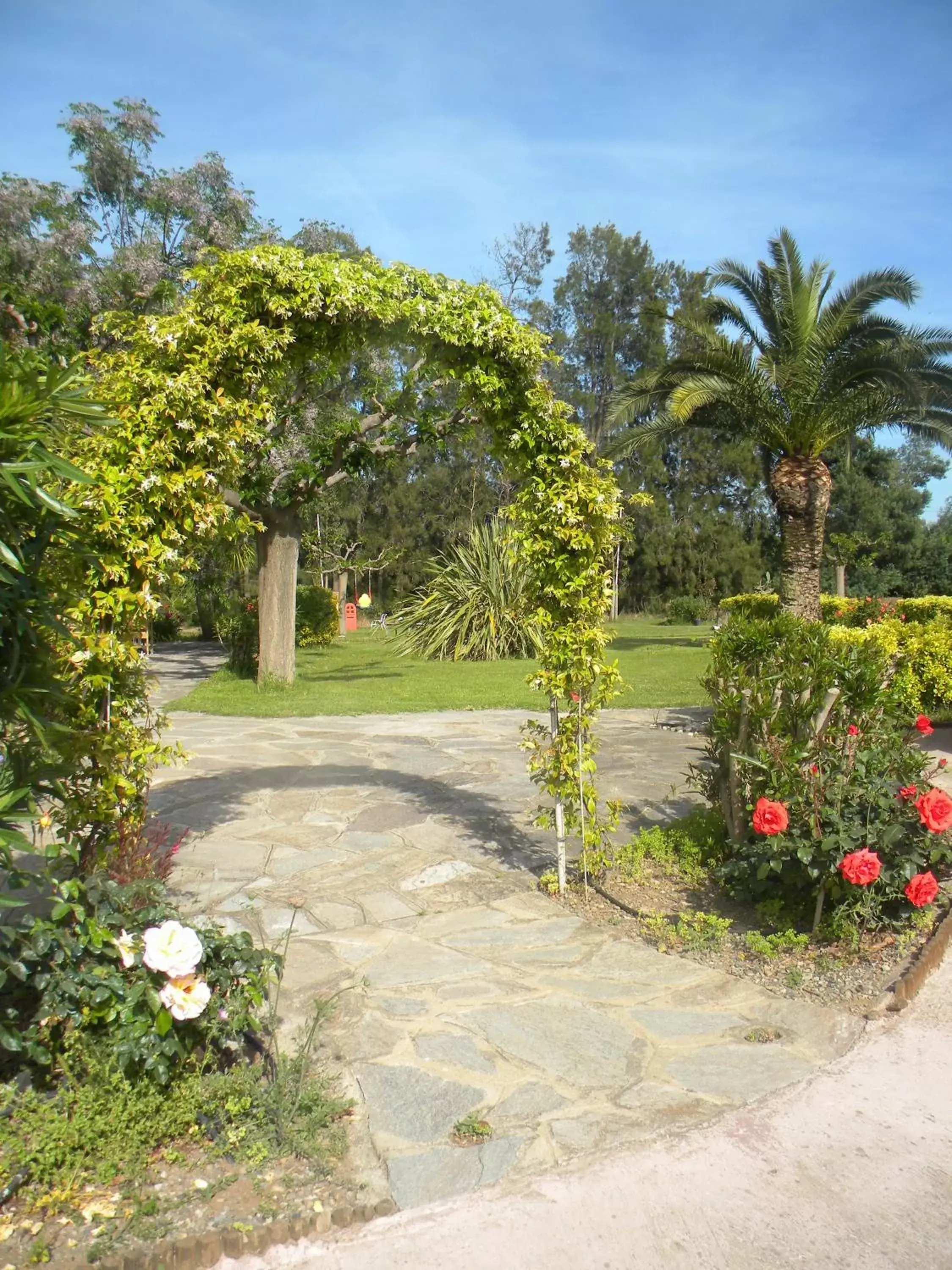 Garden in Auberge les Oliviers