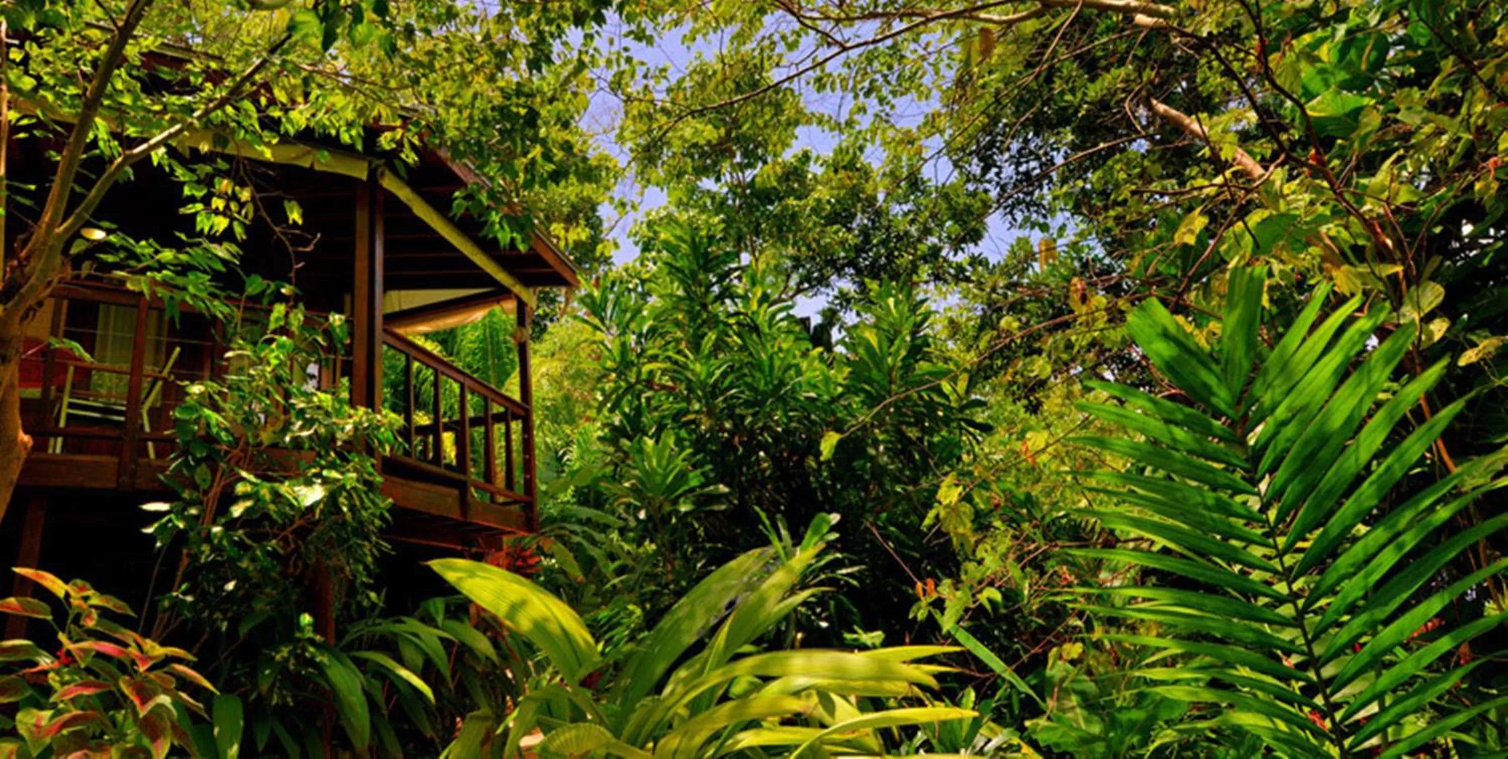 Balcony/Terrace in Geejam