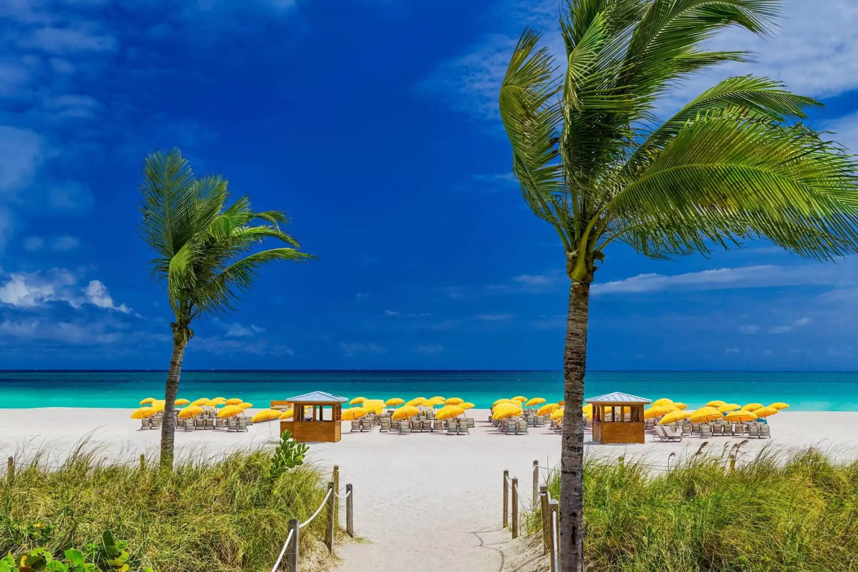 Beach in Royal Palm South Beach Miami, a Tribute Portfolio Resort