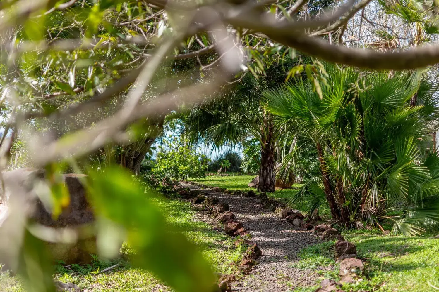 Garden in Villa Margarita