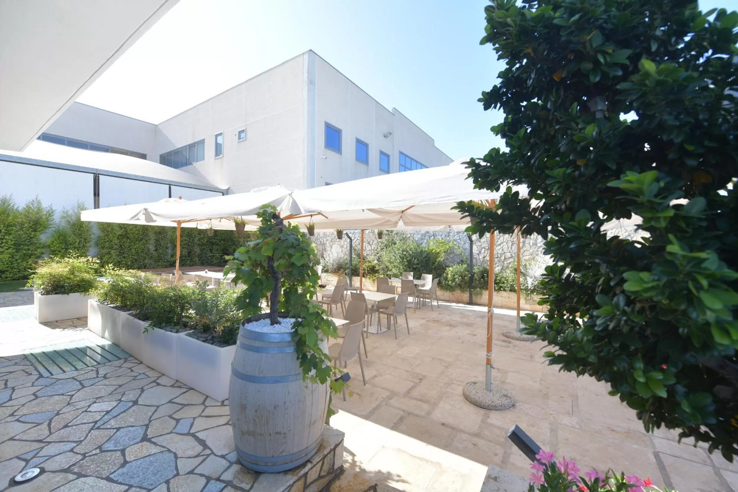 Property Building in Noemi B&B