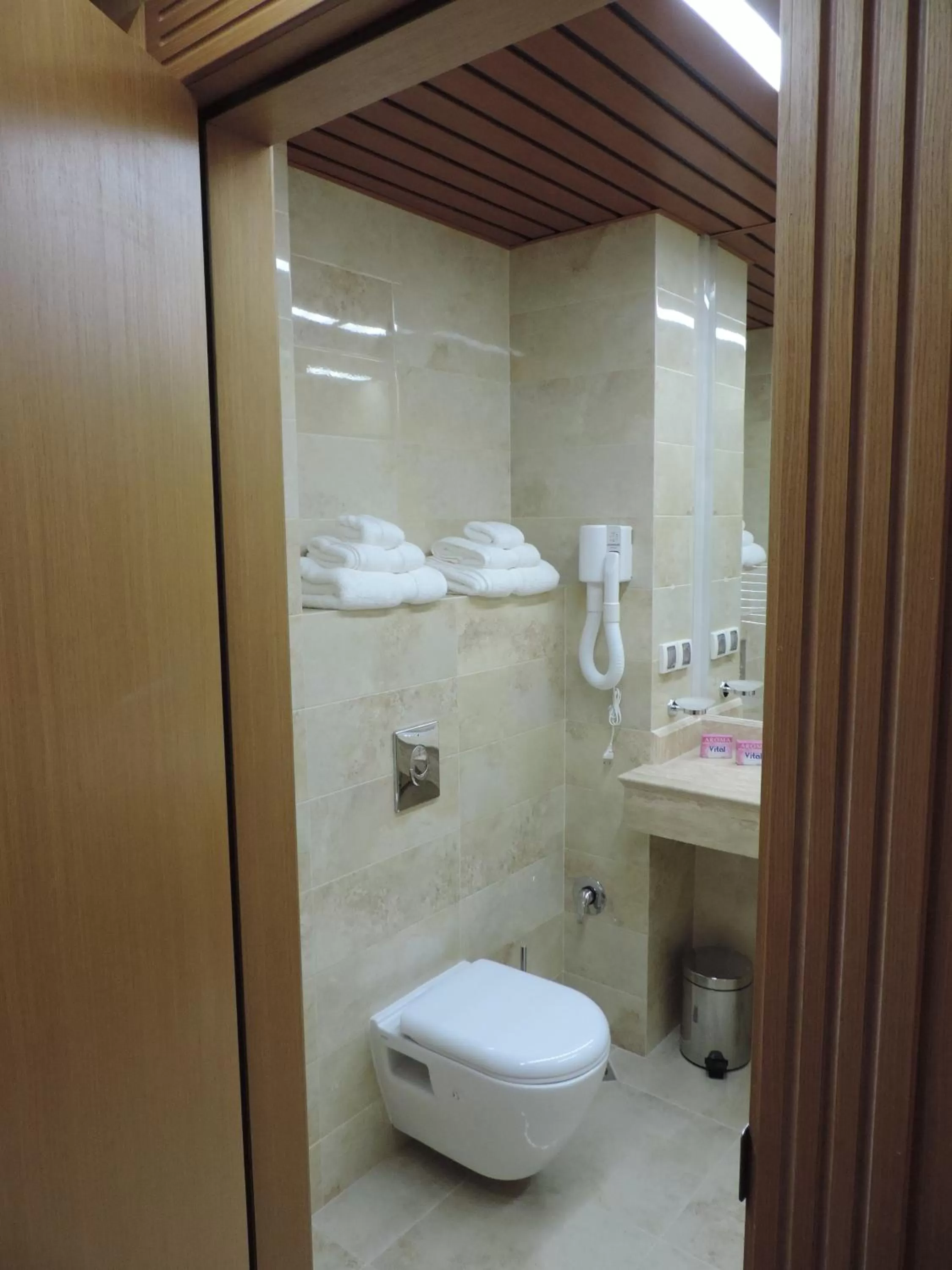 Toilet in Hotel Svilena