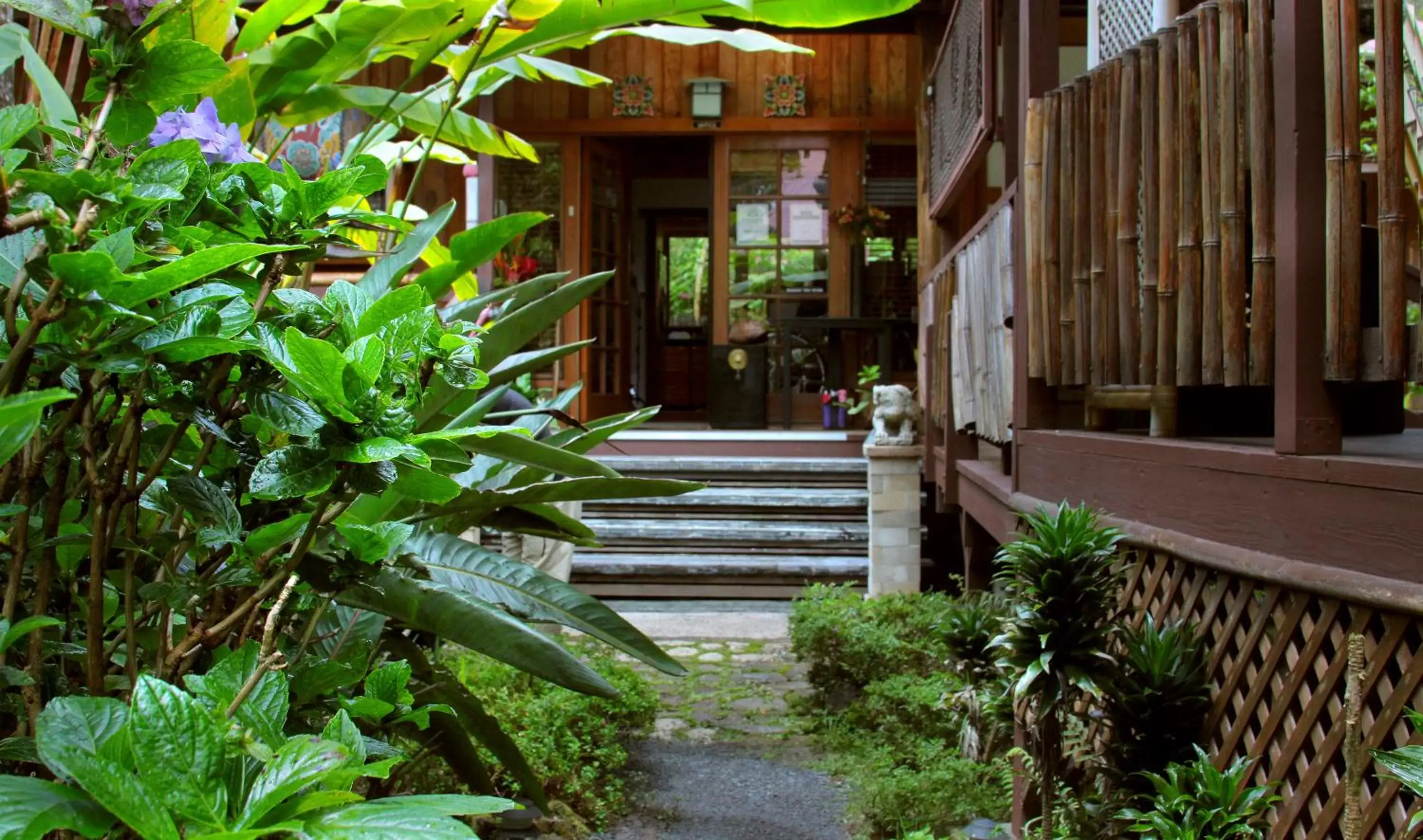 Garden in Lotus Garden Cottages