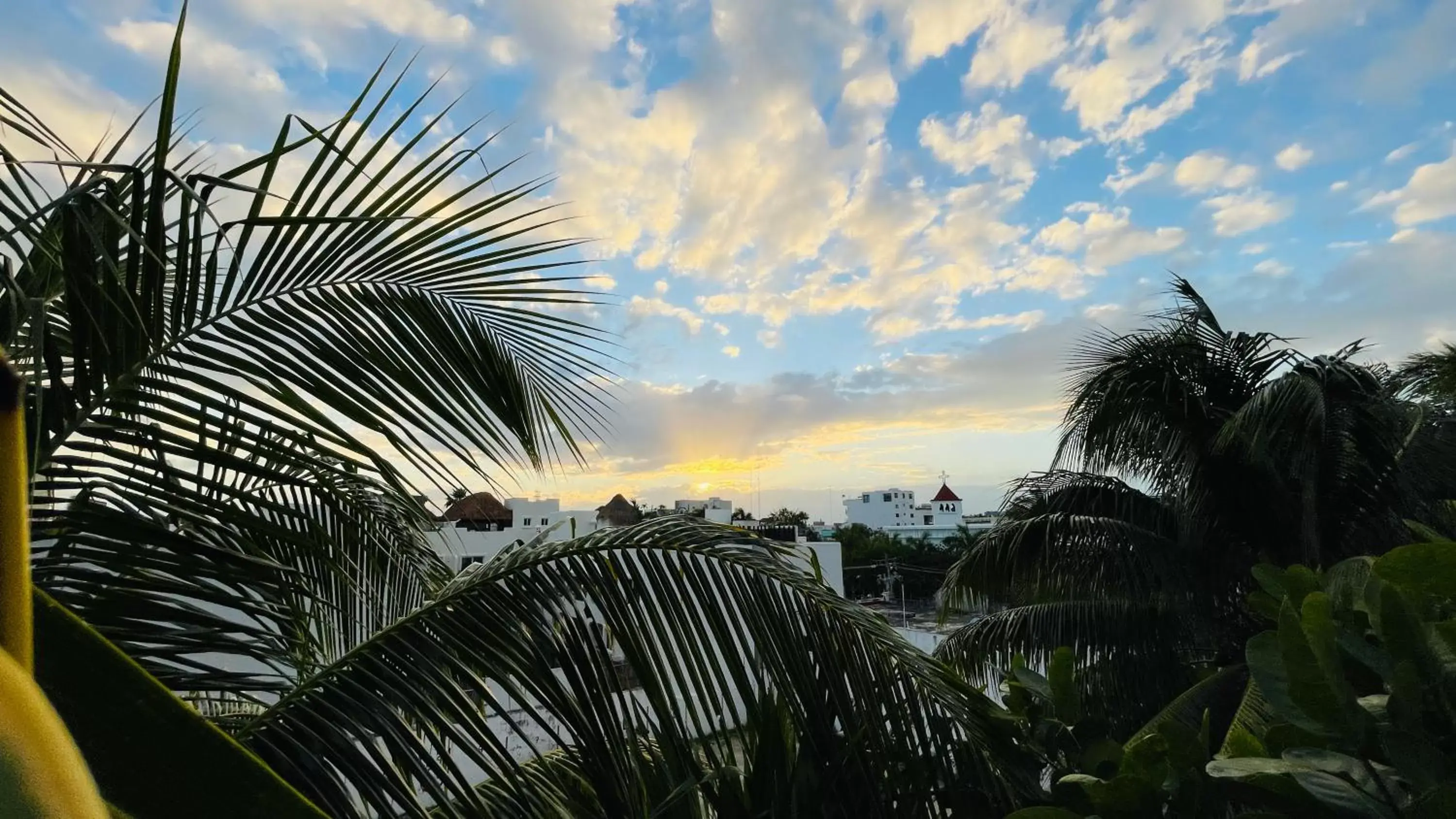 Natural landscape in Hotel B&B - 5th Avenue