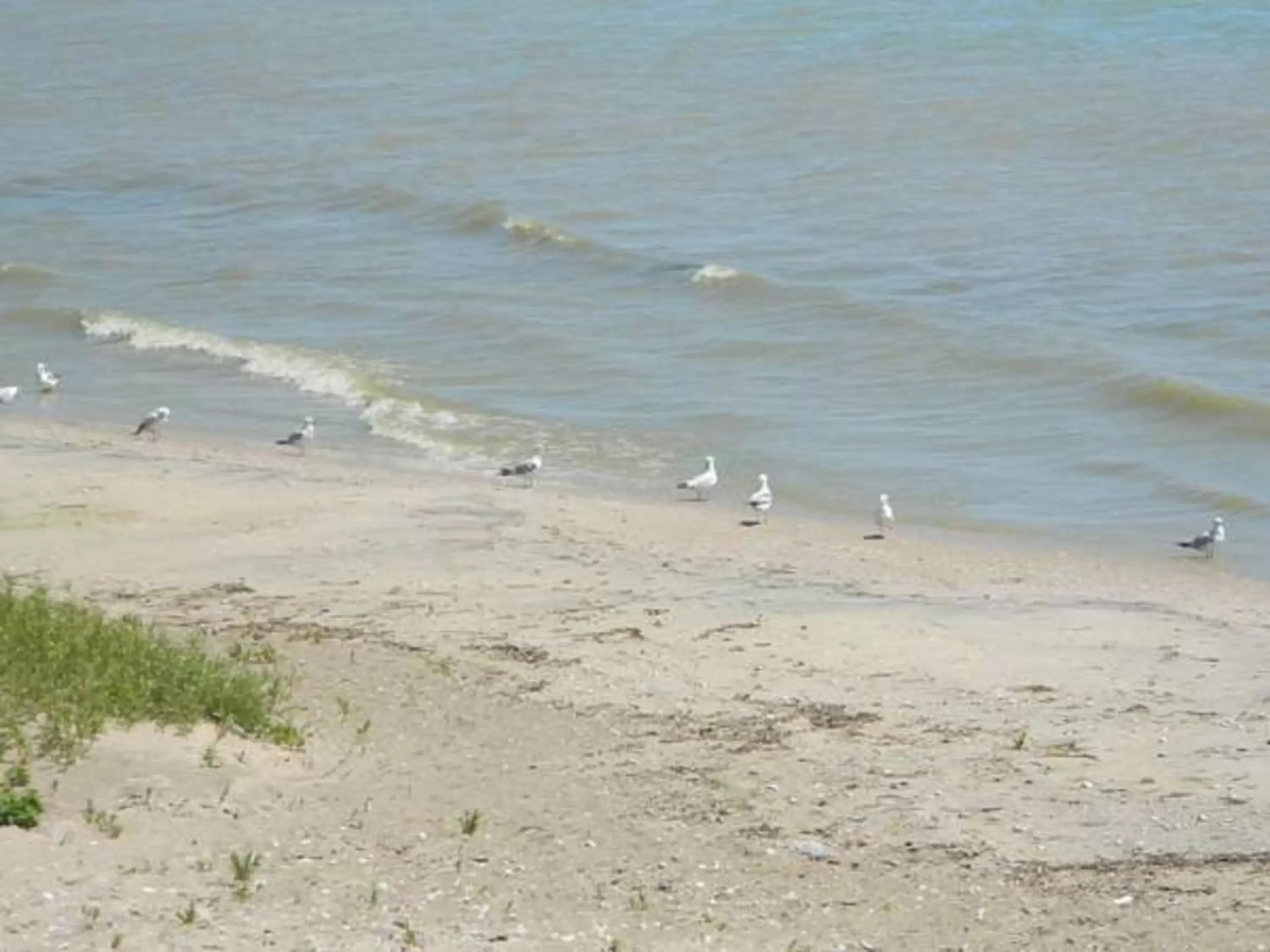 View (from property/room), Beach in Algoma Beach Motel