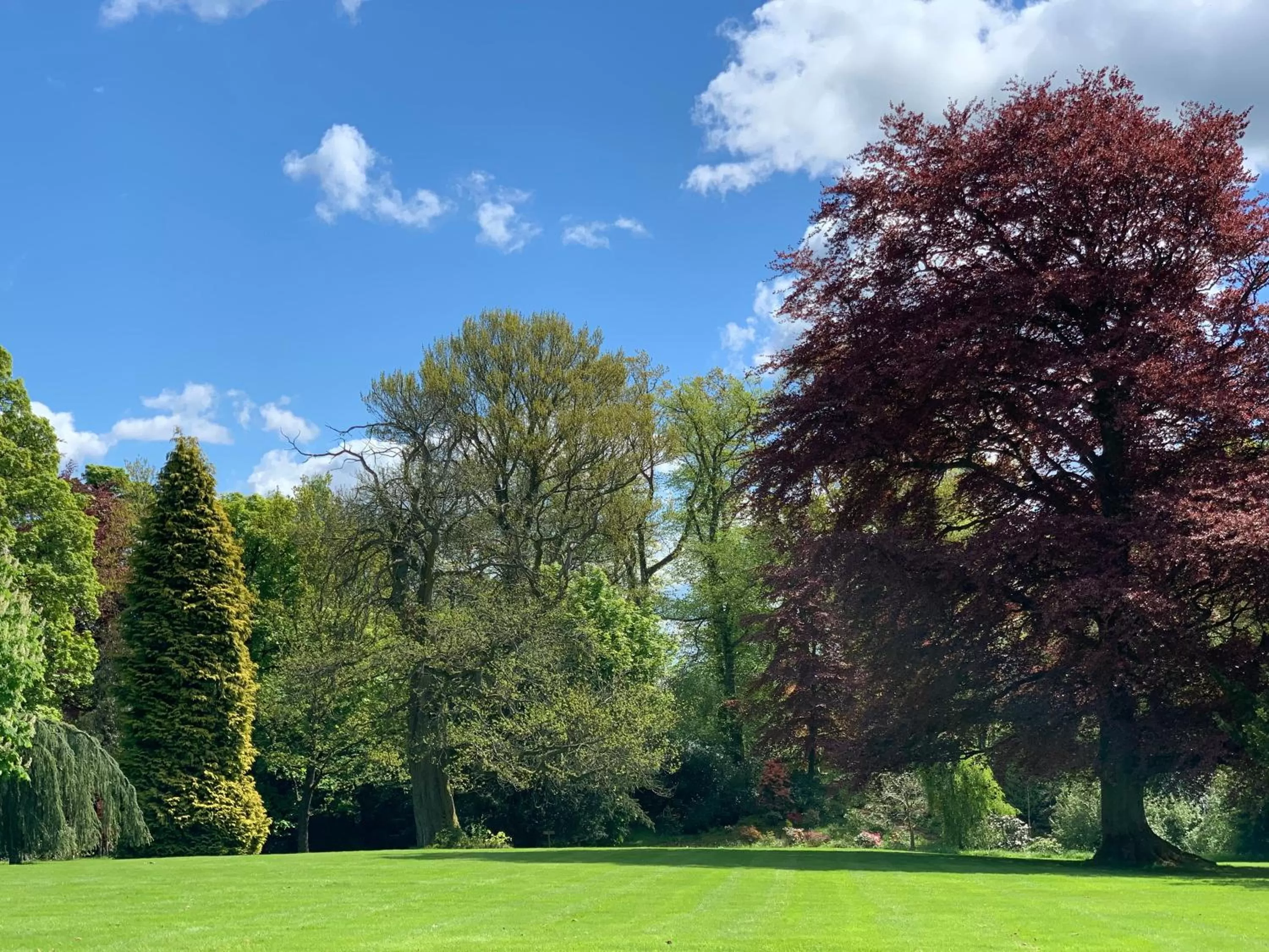 Garden in West Plean House