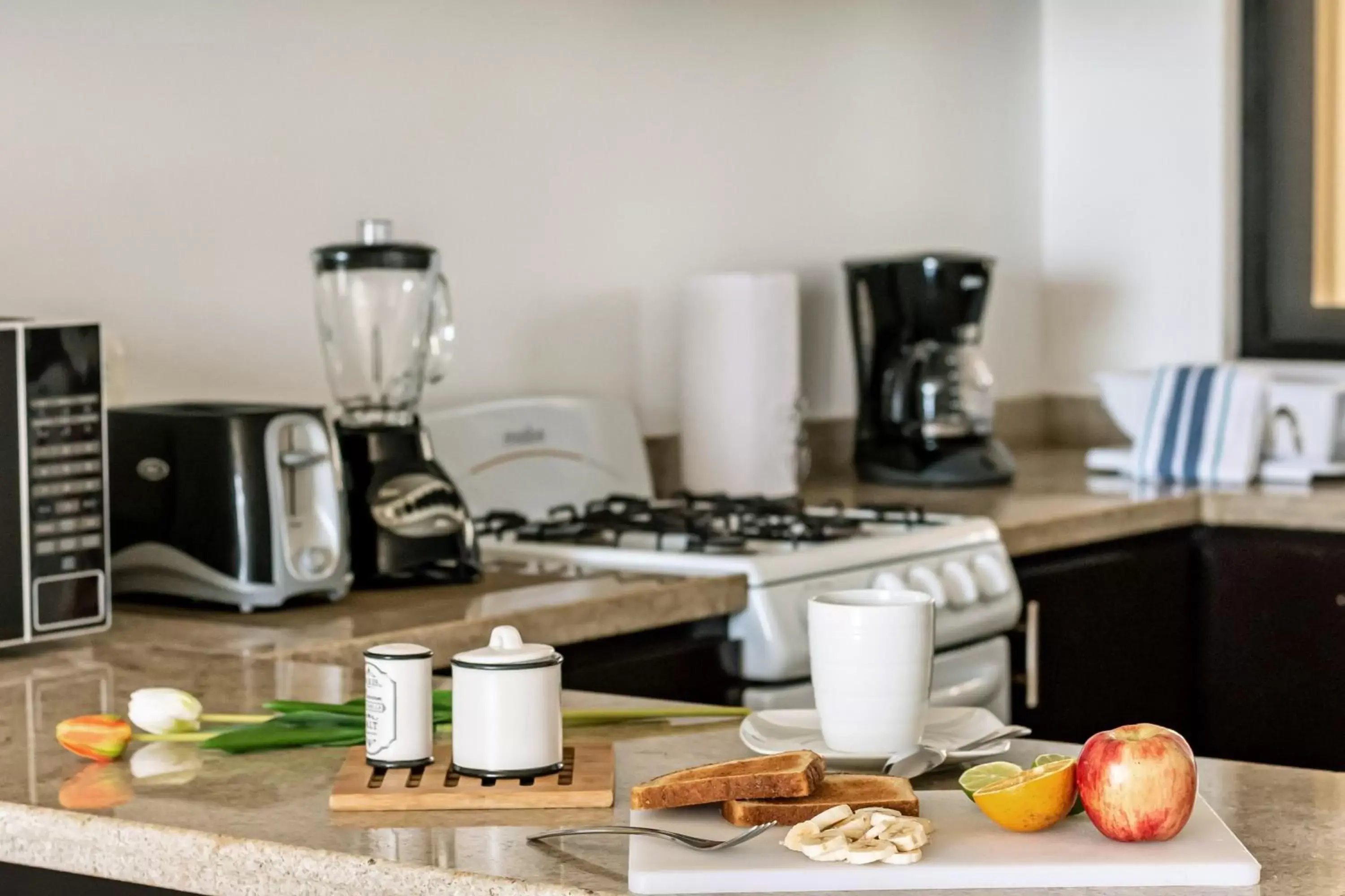 Kitchen or kitchenette in Vela's Condos Ocean Front