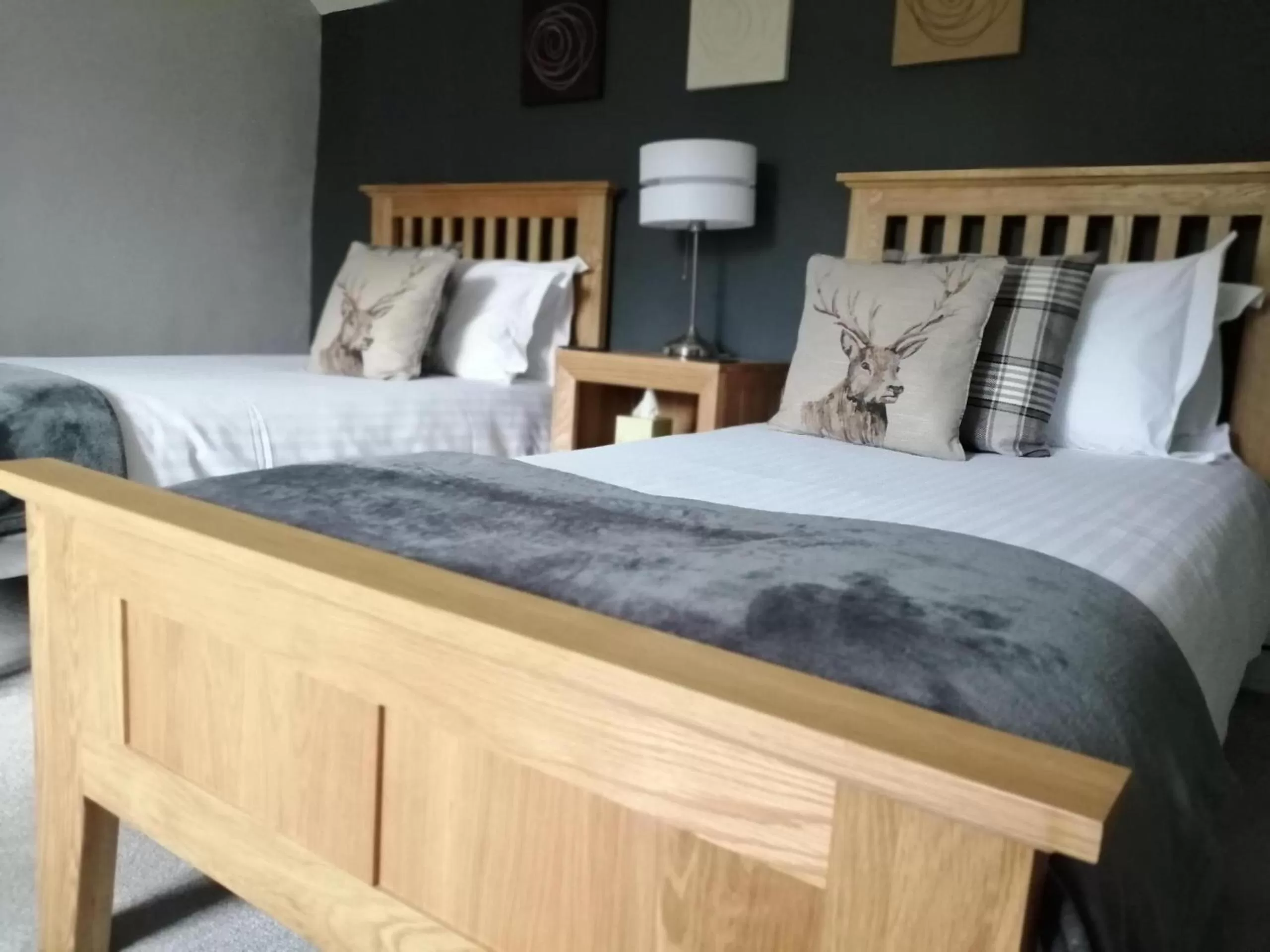 Twin Room with Private Bathroom - single occupancy in Worth House Bed and Breakfast