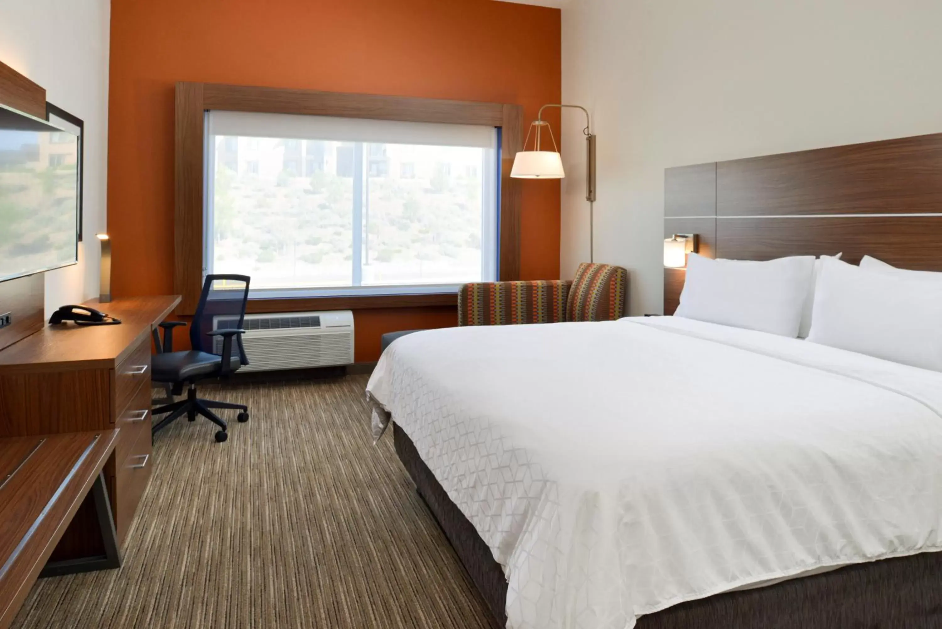 Photo of the whole room, Bed in Holiday Inn Express & Suites - Elko, an IHG Hotel