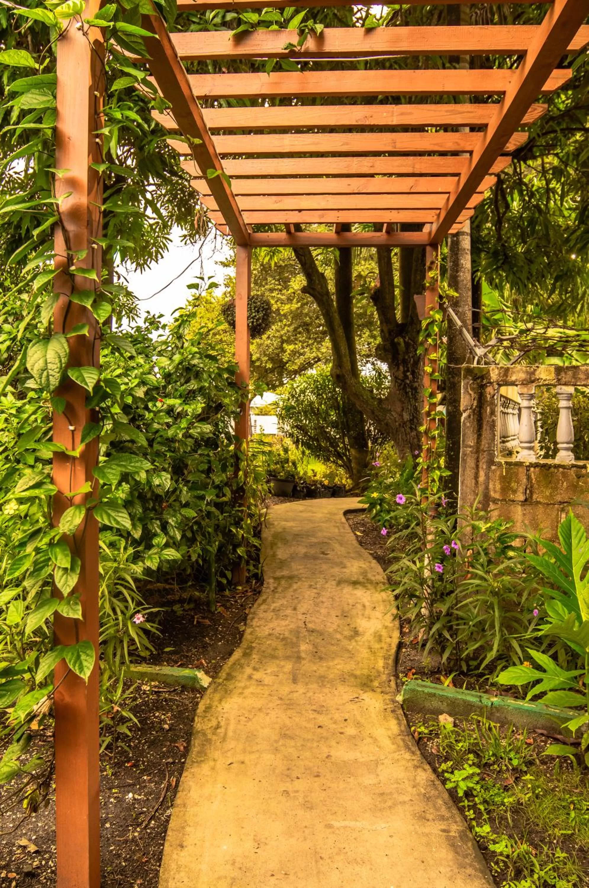 Garden in Harbour View Boutique Hotel & Wellness Retreat