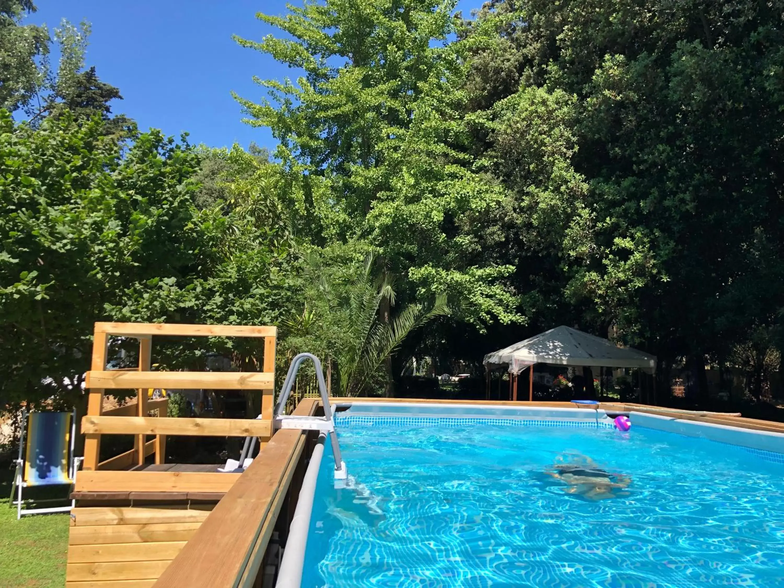 Garden, Swimming Pool in Villa Berghella