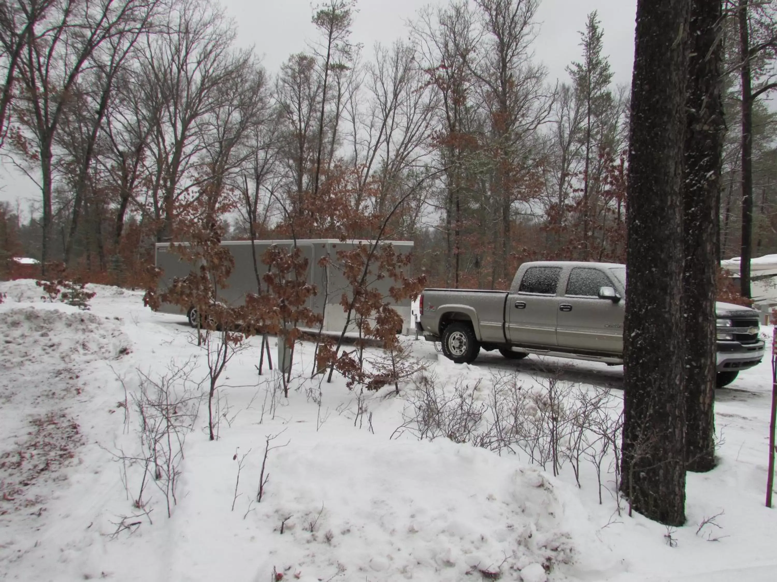 Winter in Best Bear Lodge