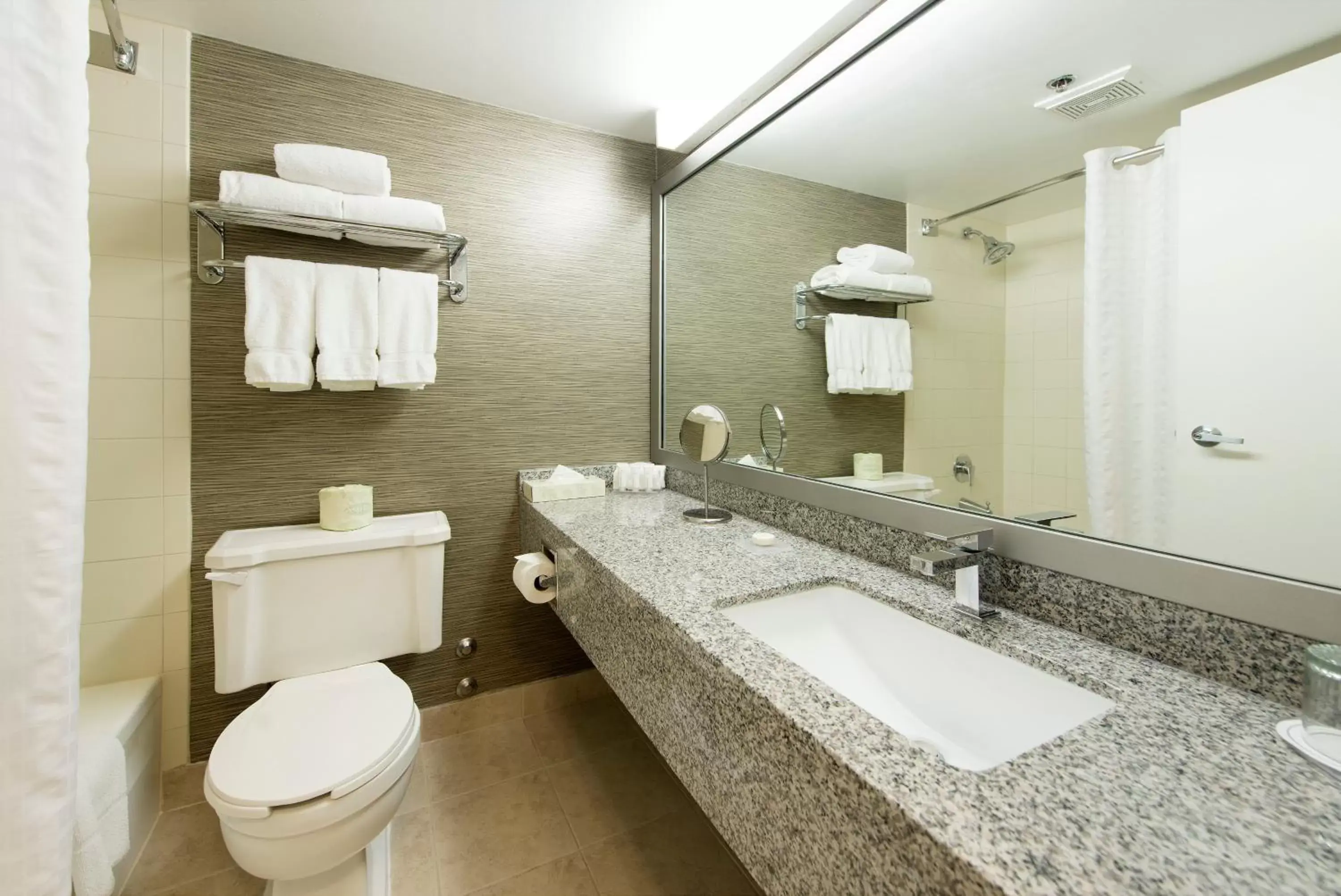 Bathroom in Toronto Don Valley Hotel and Suites