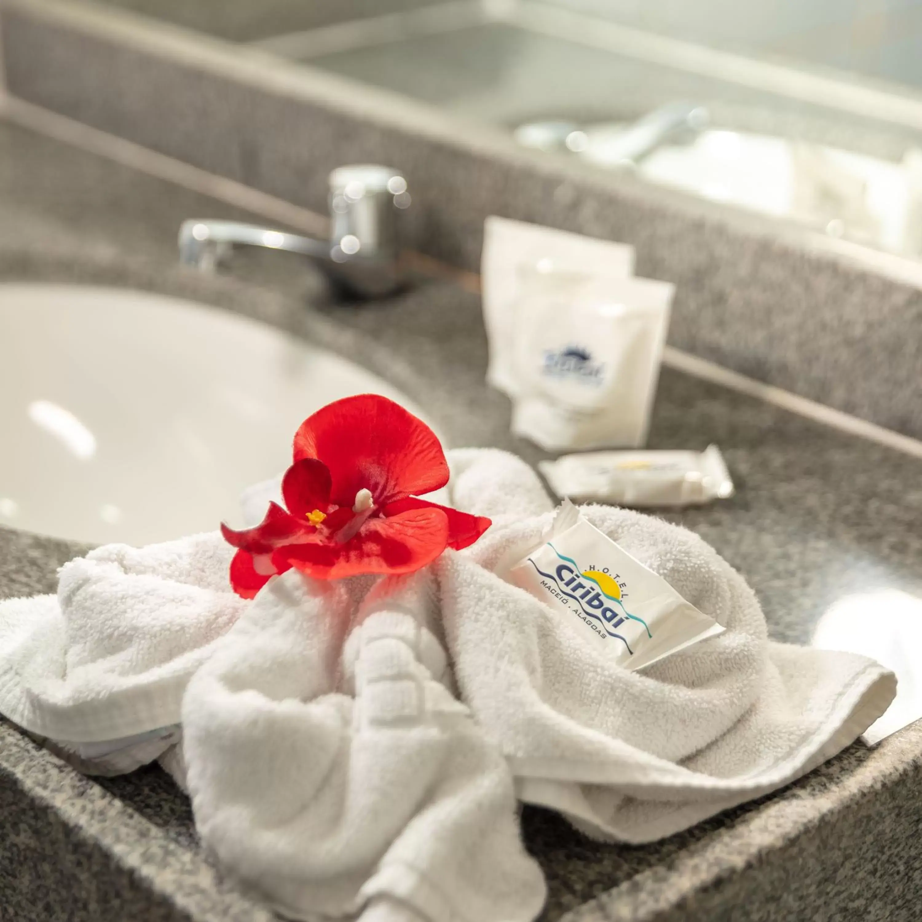 Bathroom in Hotel Ciribaí