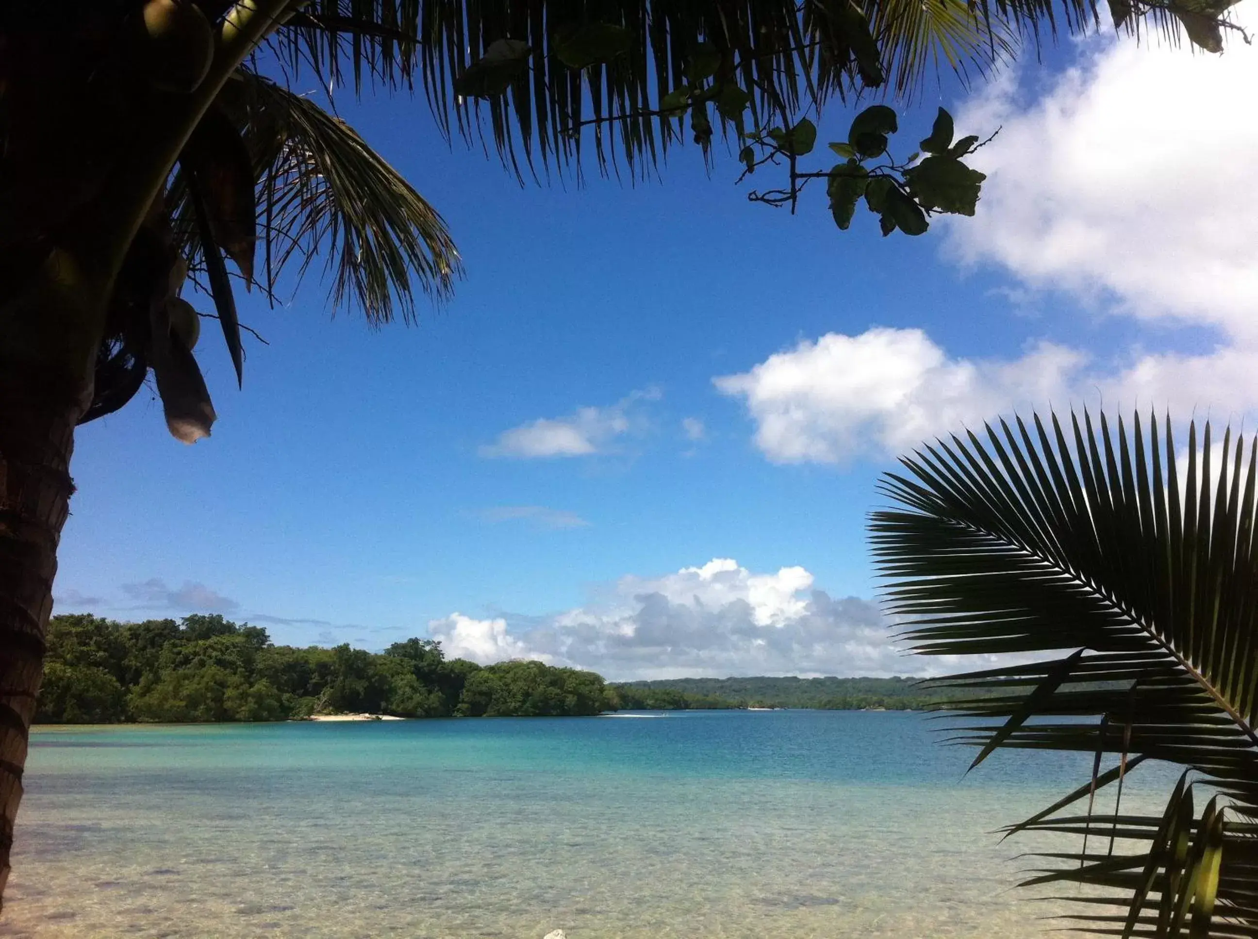 On site, Beach in Turtle Bay Lodge