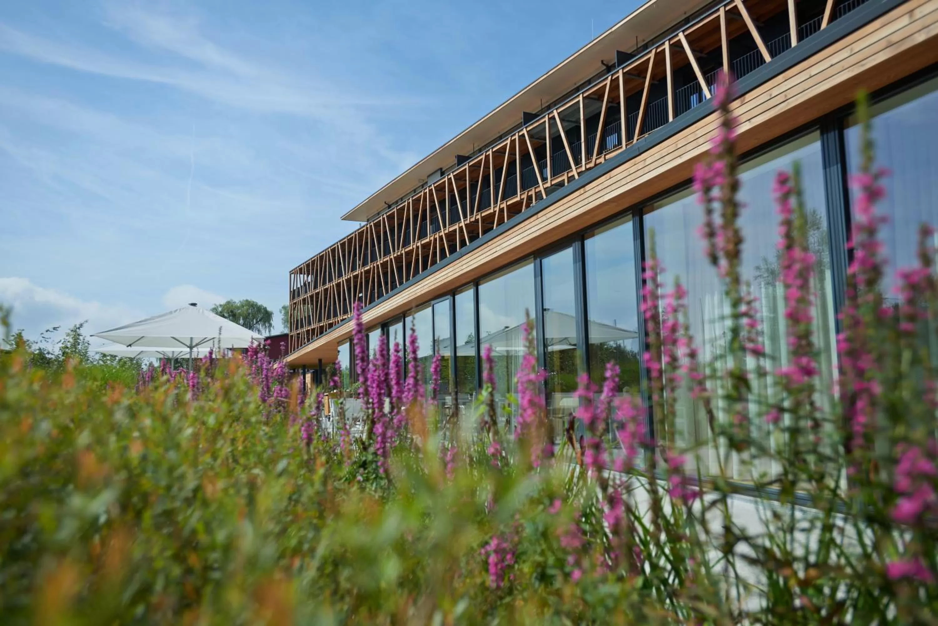 Facade/entrance in Hotel Bora HotSpaResort