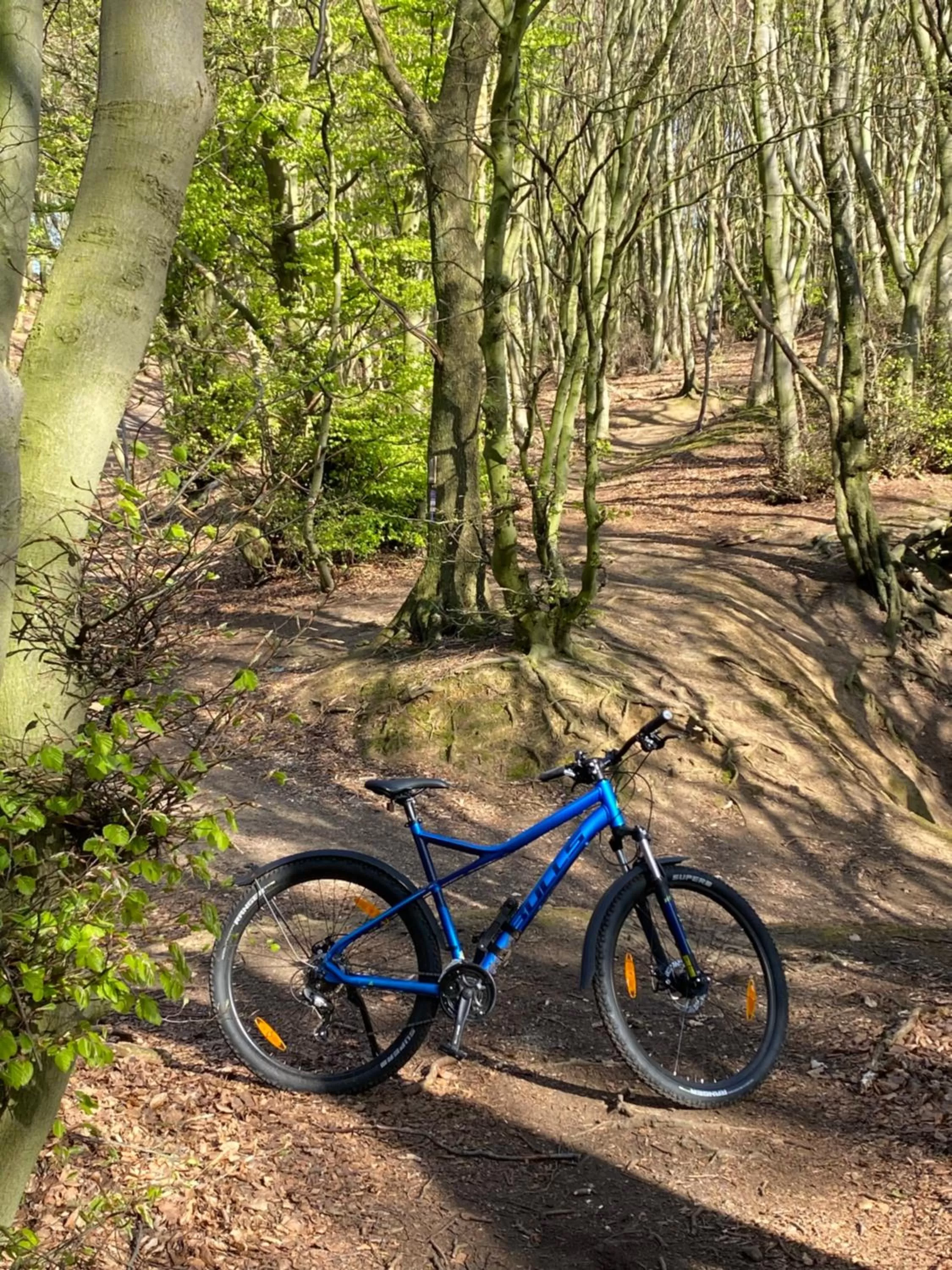 Garden in Hotel Wittekindsquelle