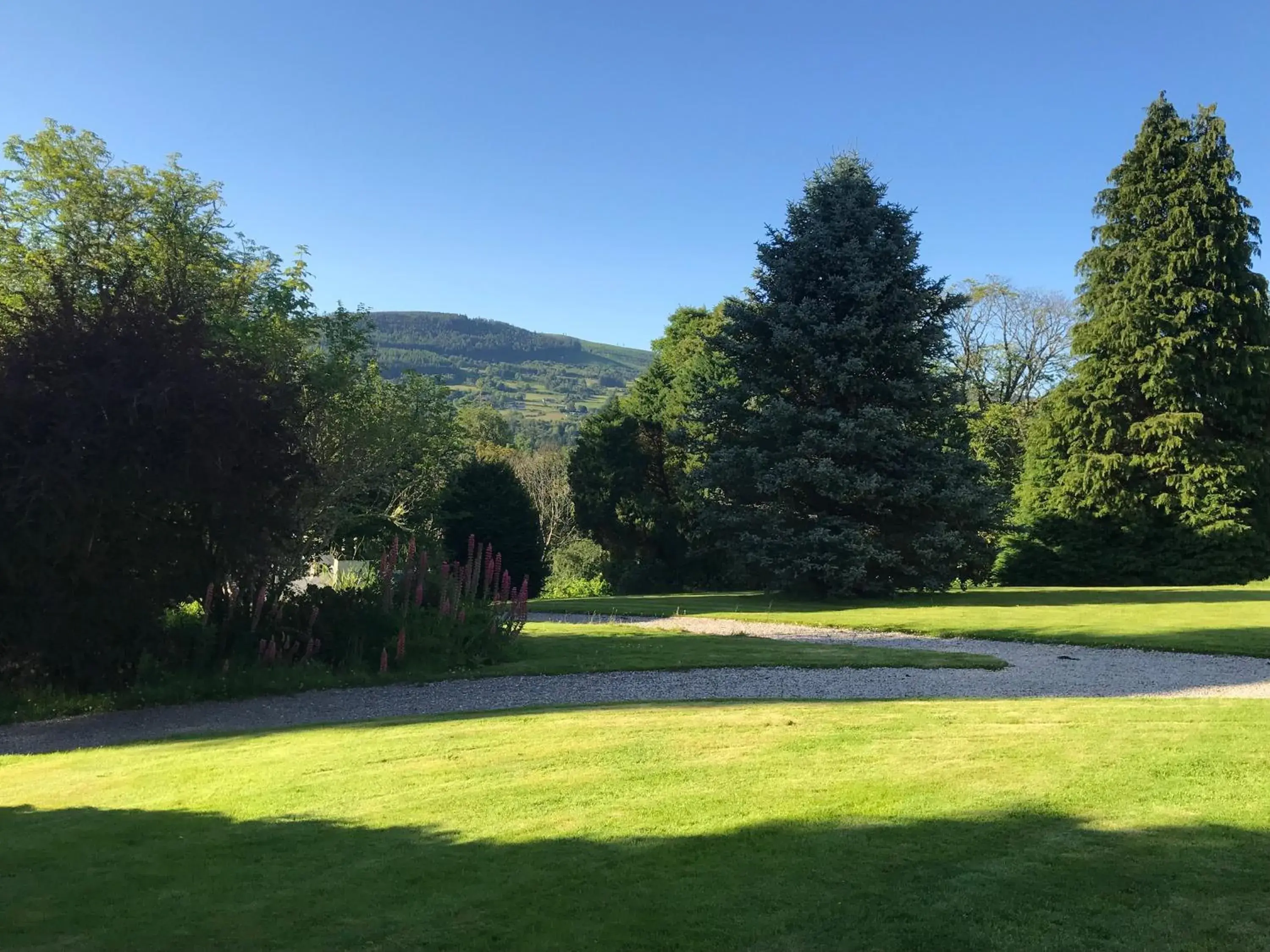 Mountain view in Ben Wyvis Hotel Mountain view in Ben Wyvis Hotel